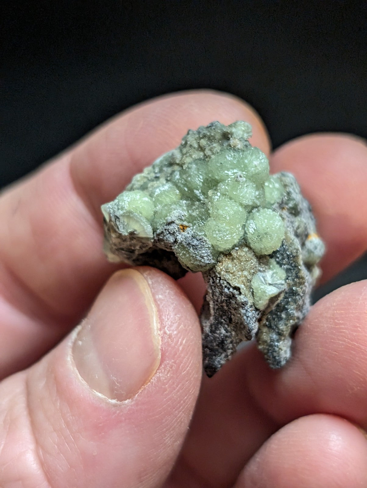 Wavellite w/ SiO2 Pseudomorphs, Mauldin Mountain, Montgomery Co. Arkansas, A++