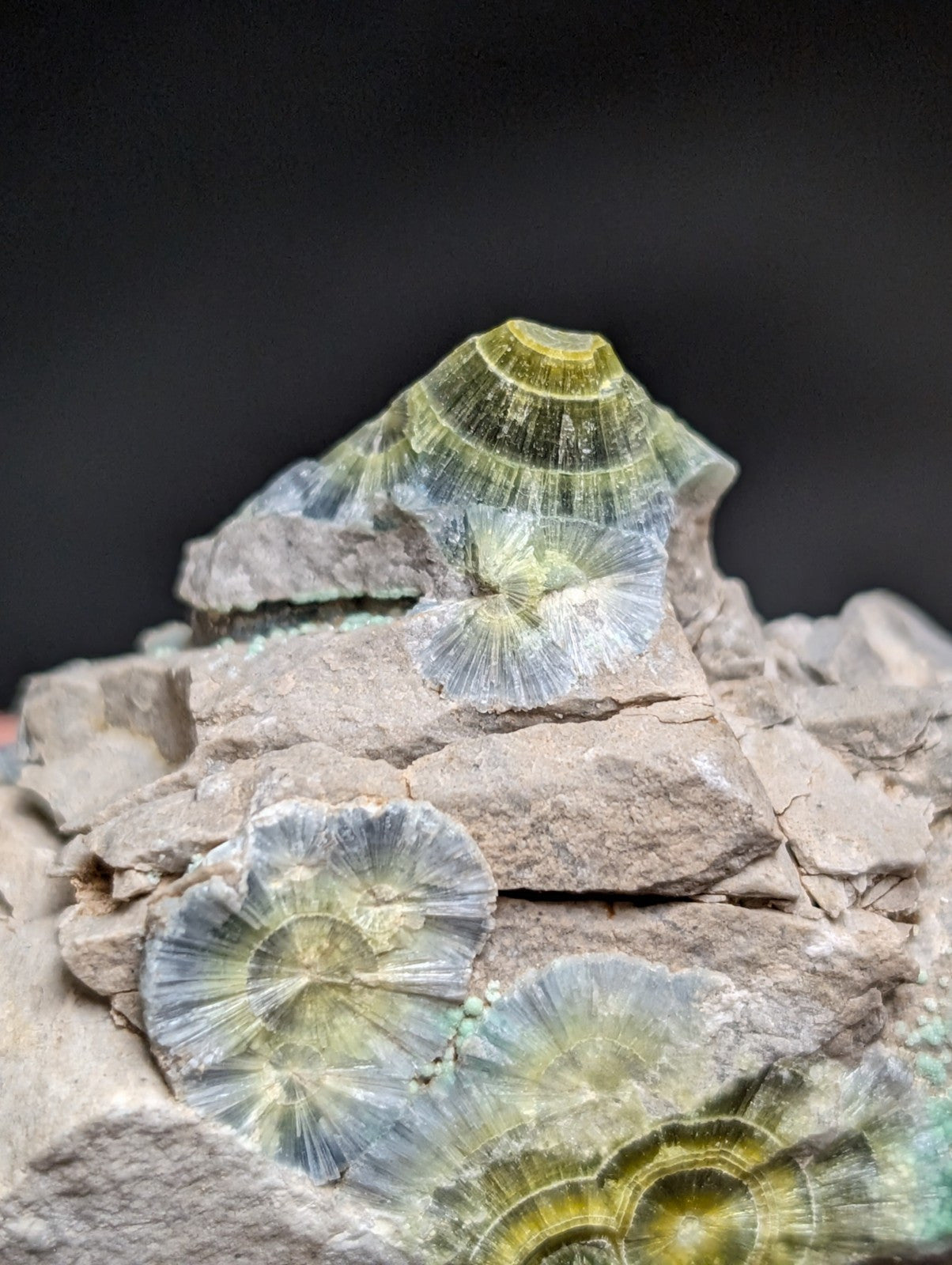 Blue Wavellite on Variscite! -Very Rare Old Stock - Garland County, Arkansas