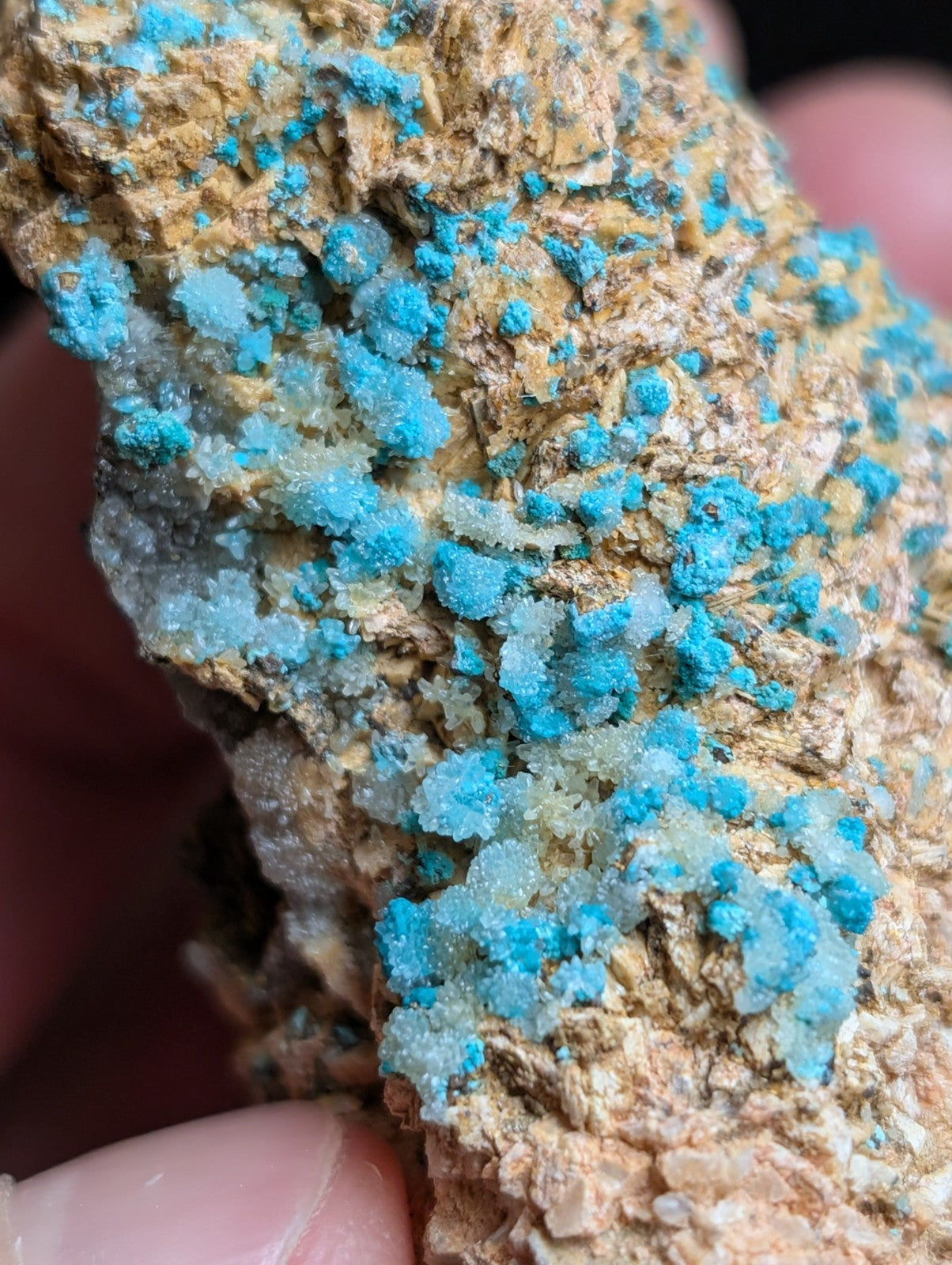 Very Rare, Aurichalcite and Selenite, Red Cloud Mine, Rush, Marion Co.  Arkansas