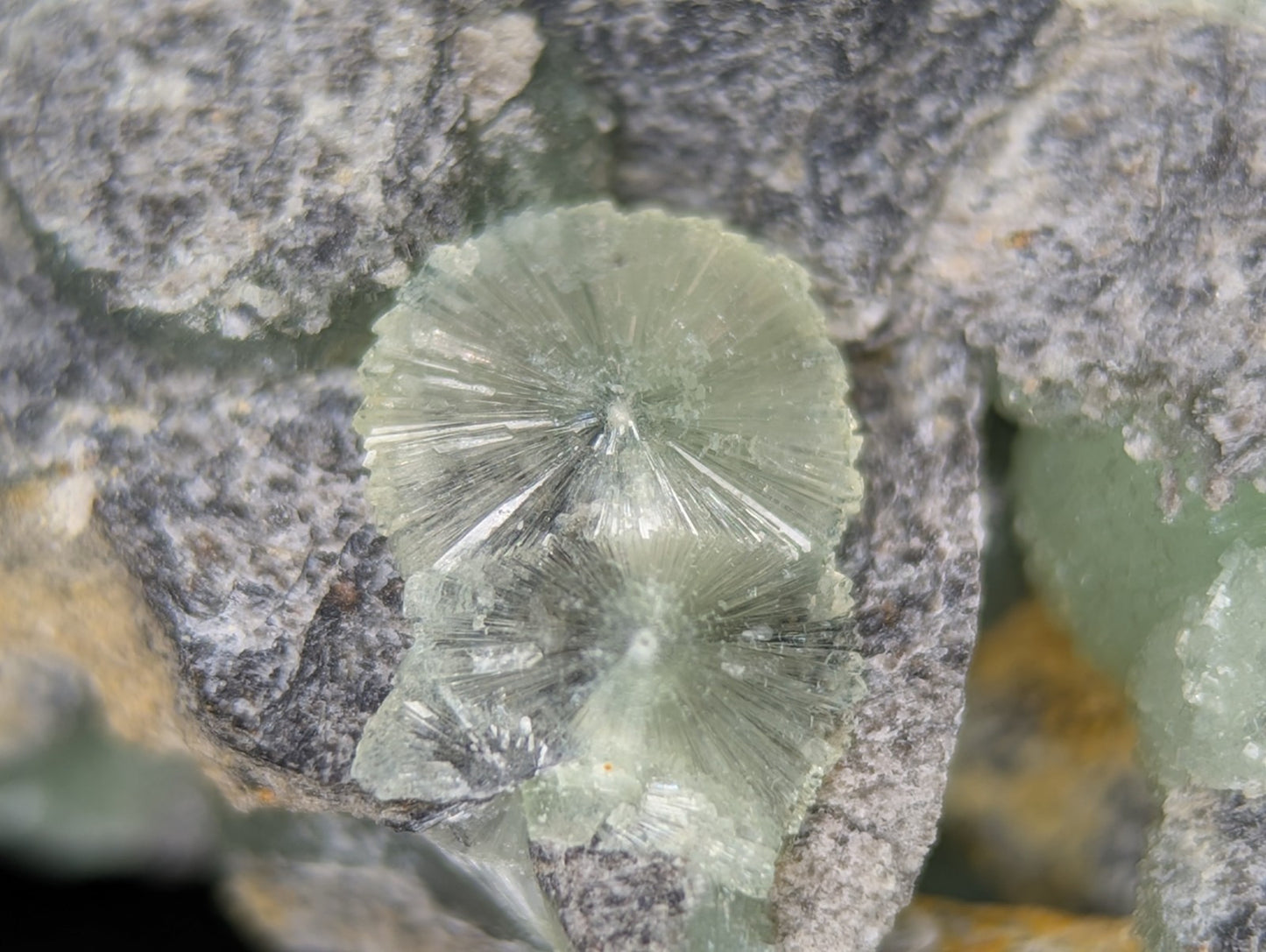 Wavellite w/ SiO2 Pseudomorphs, Mauldin Mountain, Montgomery Co. Arkansas, A++