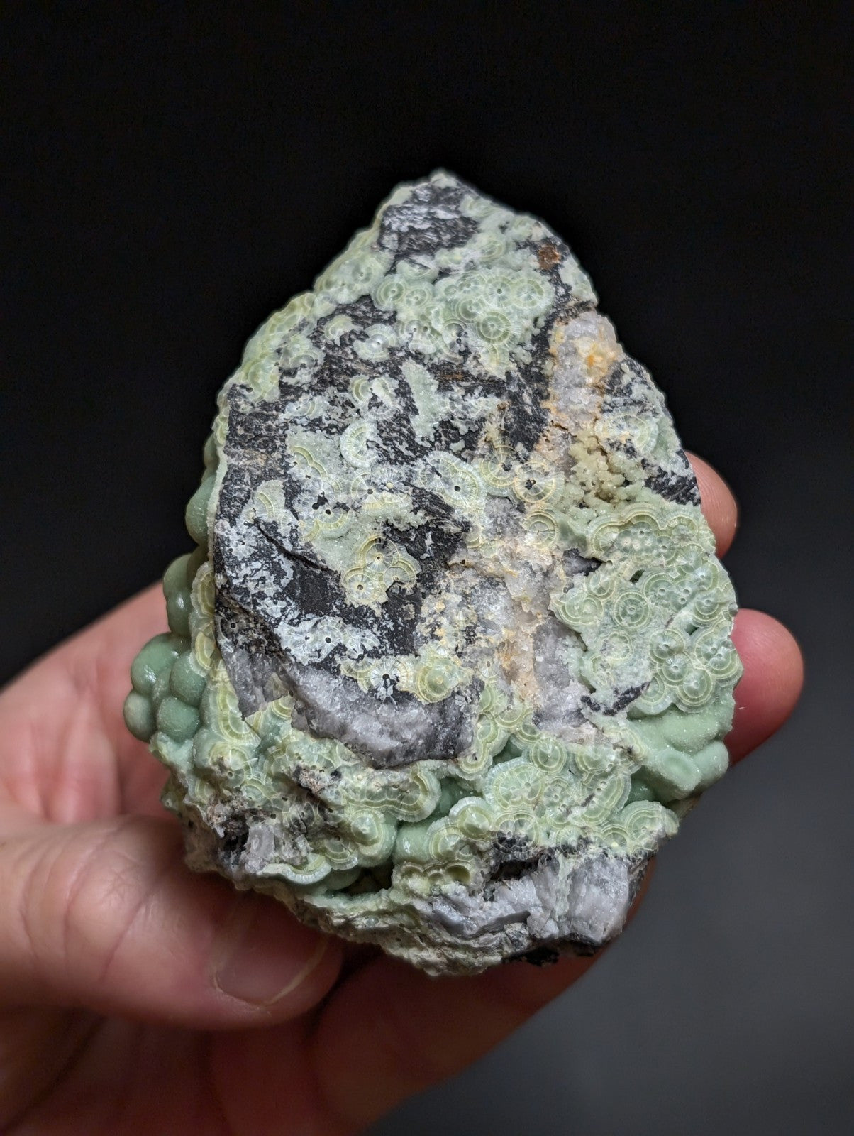 Phenomenal Wavellite -Old Stock - Mauldin Mountain, Arkansas, A+++ Display Piece