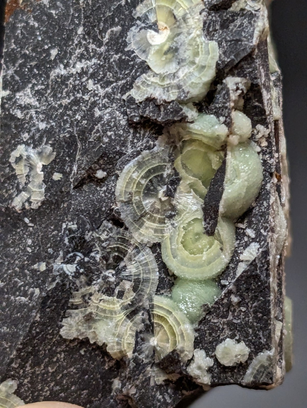 Wavellite w/ Large "Eyes", Mauldin Mountain, Montgomery County, Arkansas, USA