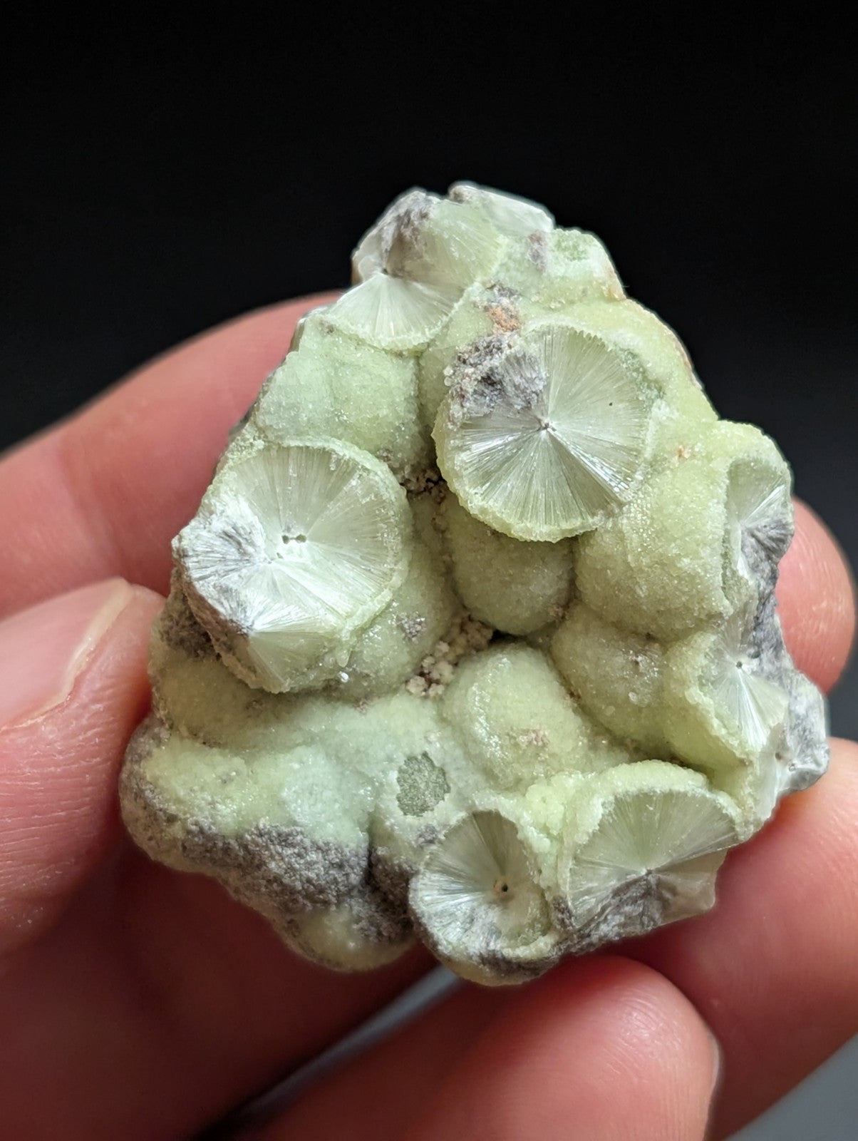 Wavellite w/ SiO2 pseudomorphs -Old Stock - Mauldin Mountain, Arkansas, USA