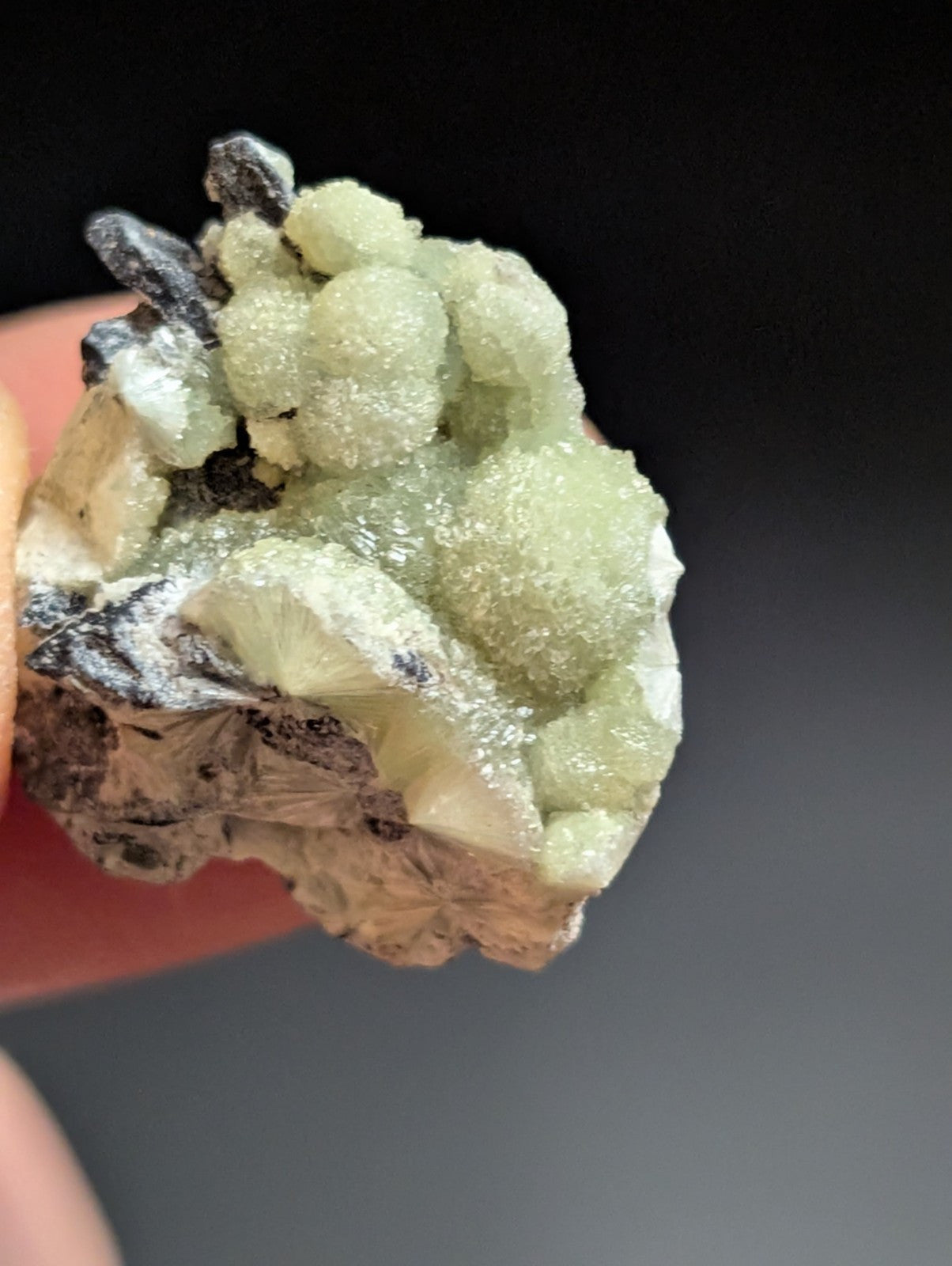 Wavellite - A+ Crystallization - Old Stock - Mauldin Mountain, Arkansas, USA