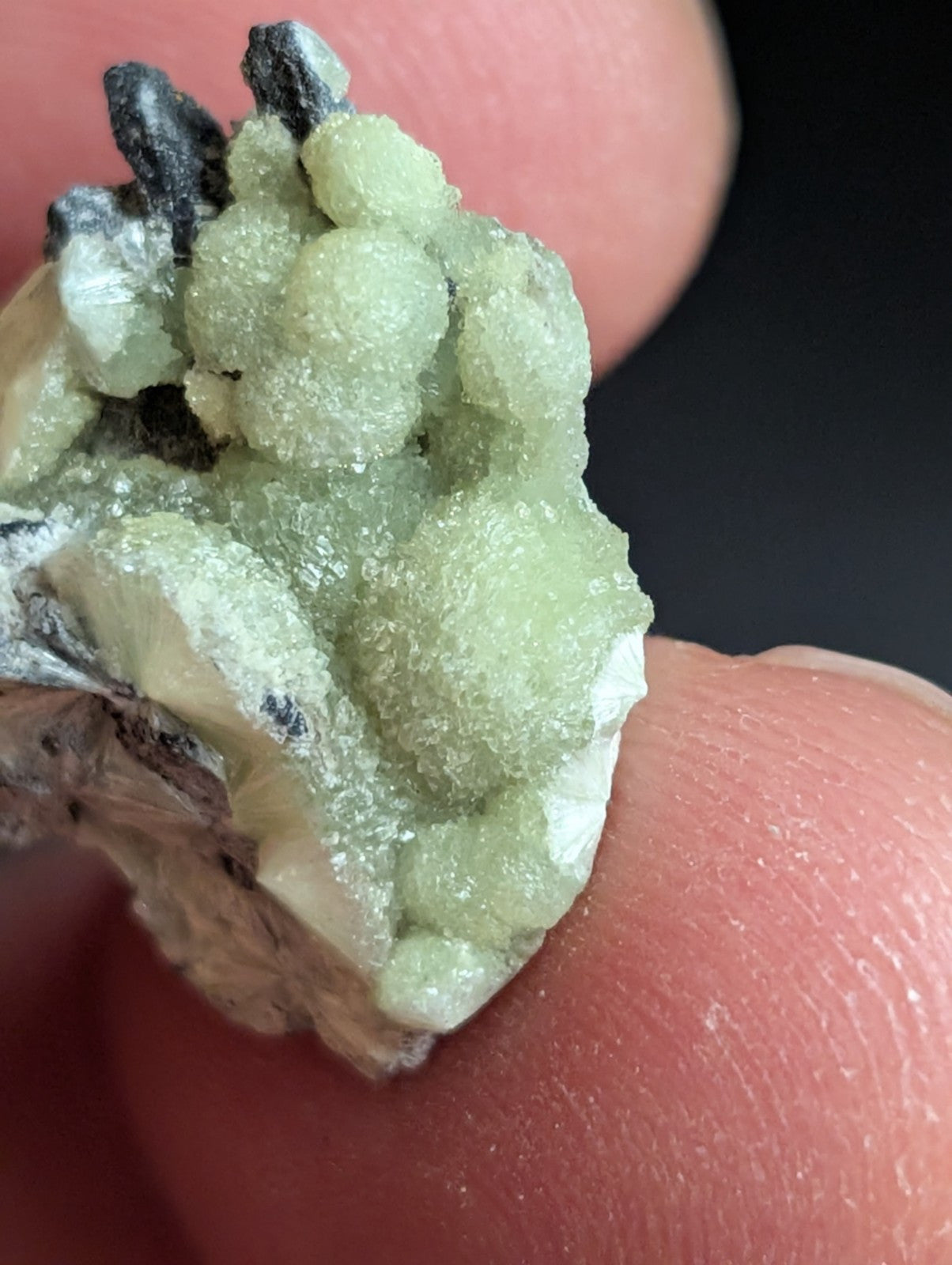 Wavellite - A+ Crystallization - Old Stock - Mauldin Mountain, Arkansas, USA