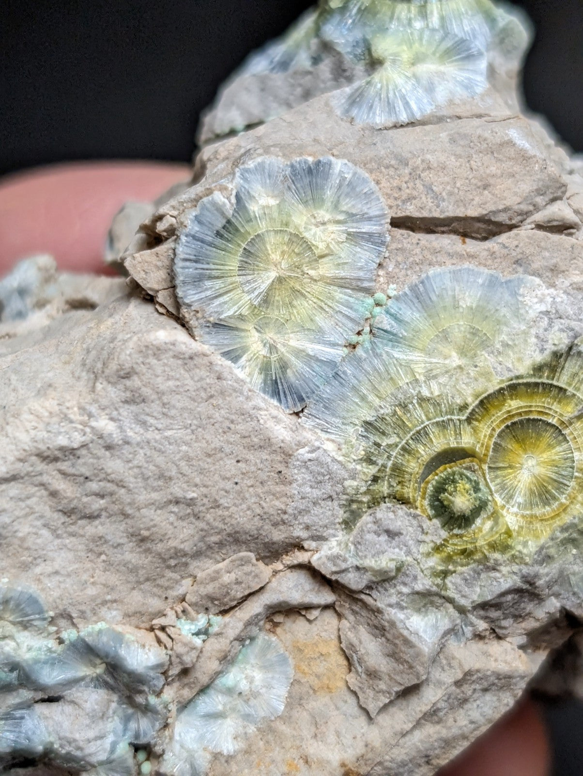 Blue Wavellite on Variscite! -Very Rare Old Stock - Garland County, Arkansas