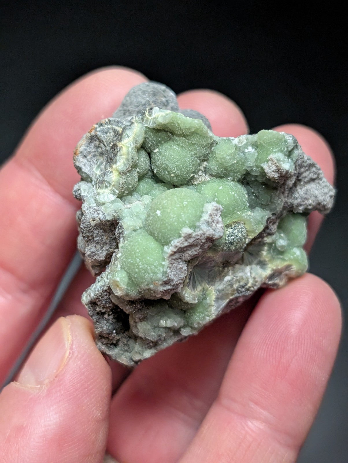 Wavellite w/ SiO2 Pseudomorphs , Mauldin Mountain, Montgomery Co. Arkansas, USA