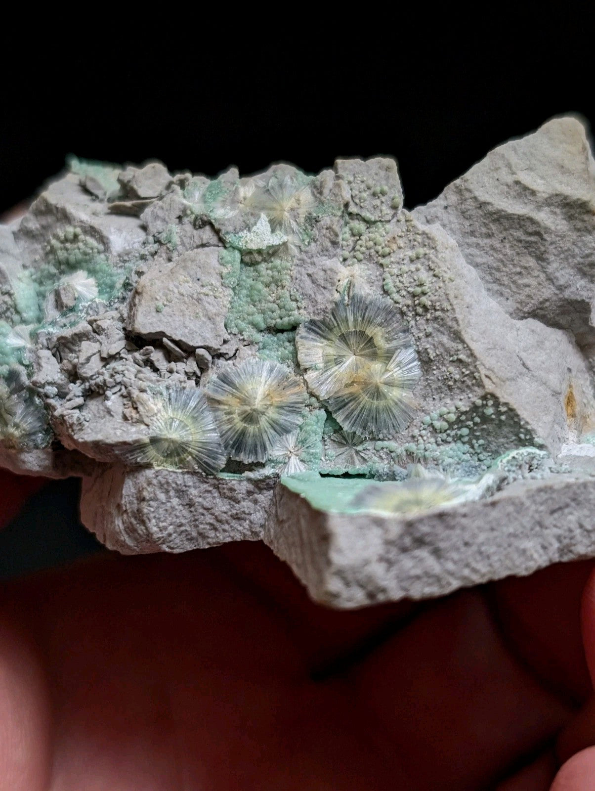 Blue Wavellite on Variscite! -Very Rare Old Stock - Garland County, Arkansas