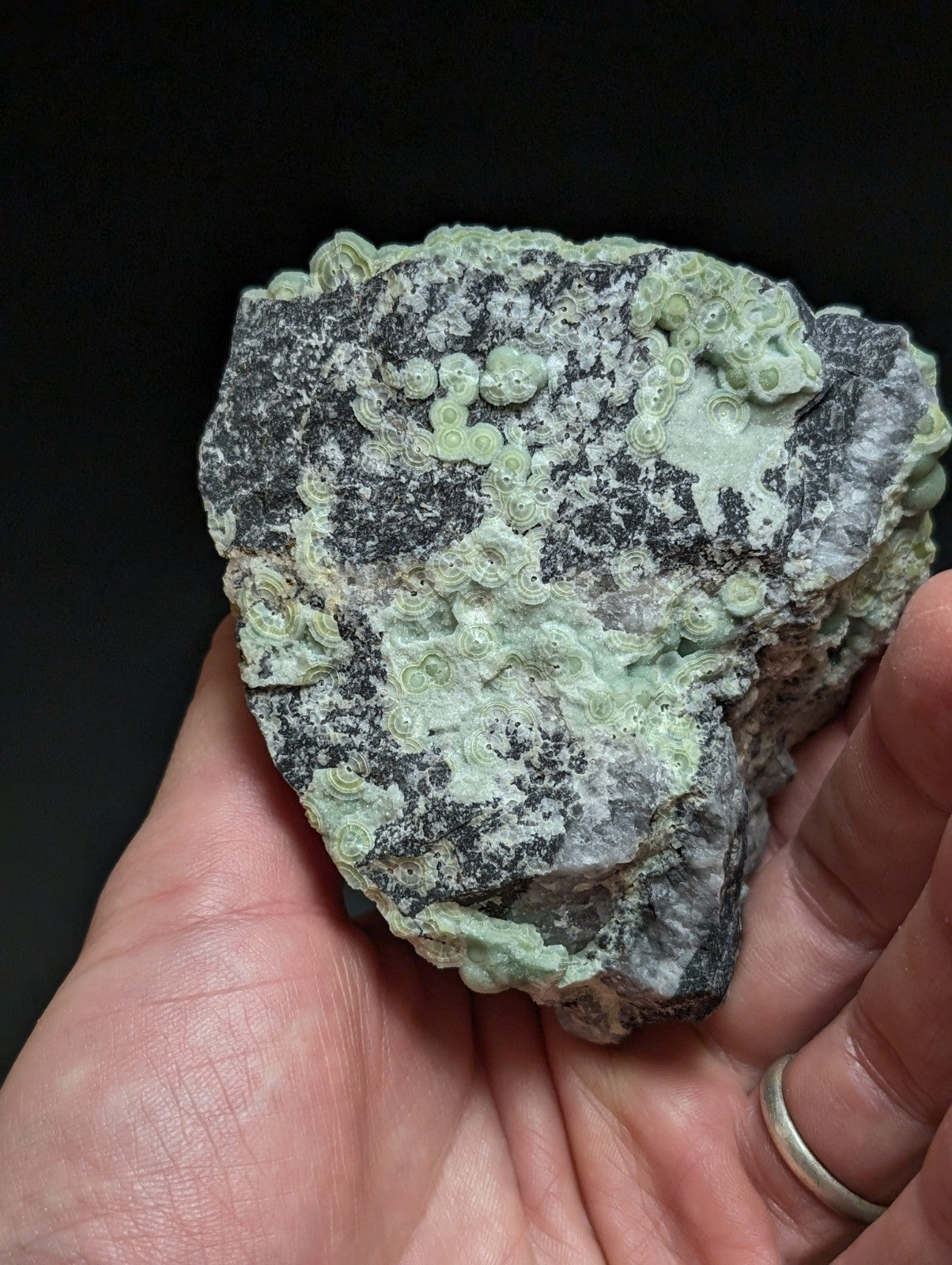 Phenomenal Wavellite -Old Stock - Mauldin Mountain, Arkansas, A+++ Display Piece