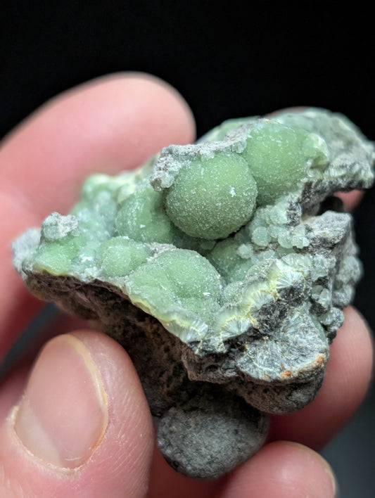 Wavellite w/ SiO2 Pseudomorphs , Mauldin Mountain, Montgomery Co. Arkansas, USA