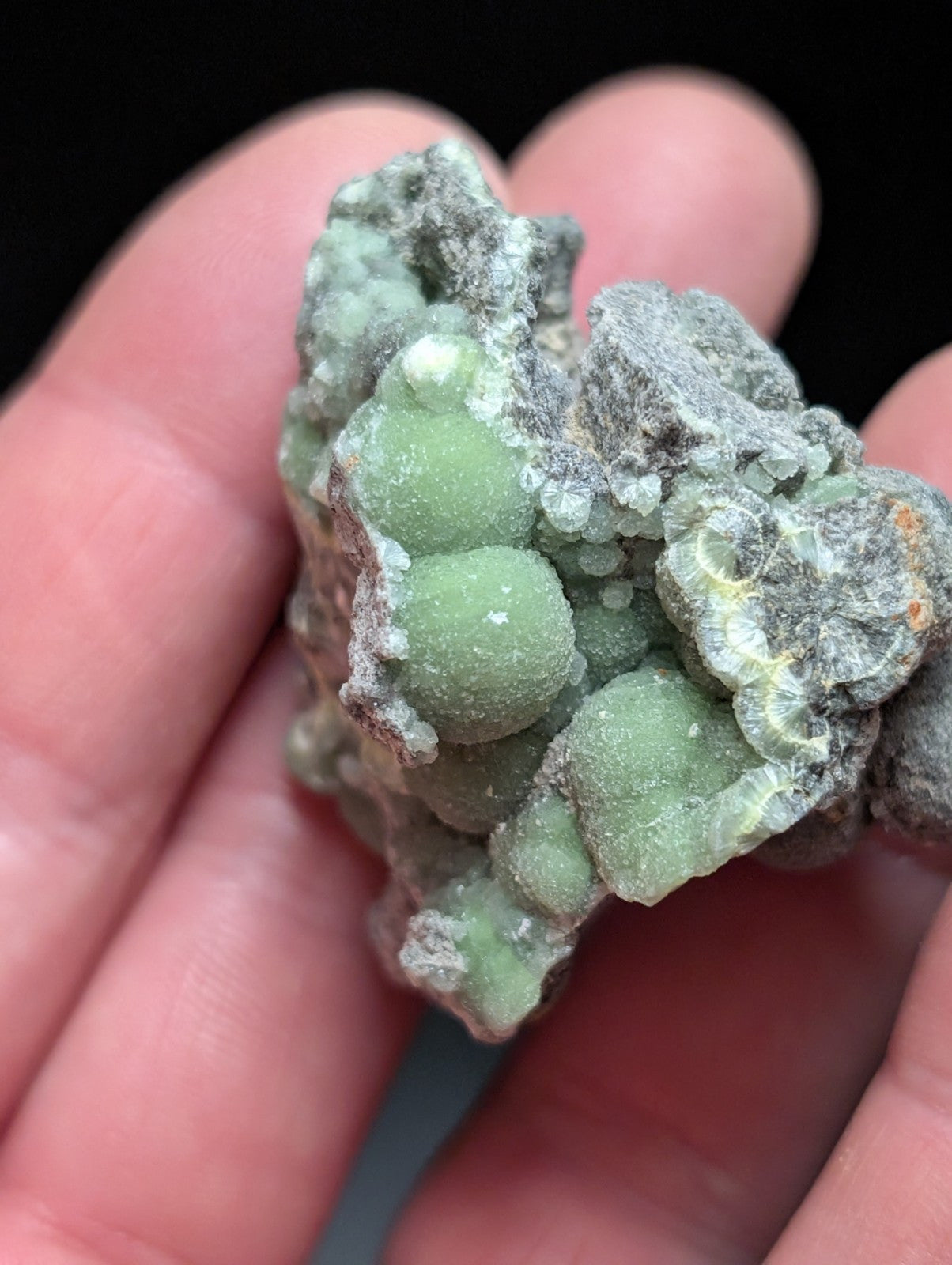 Wavellite w/ SiO2 Pseudomorphs , Mauldin Mountain, Montgomery Co. Arkansas, USA