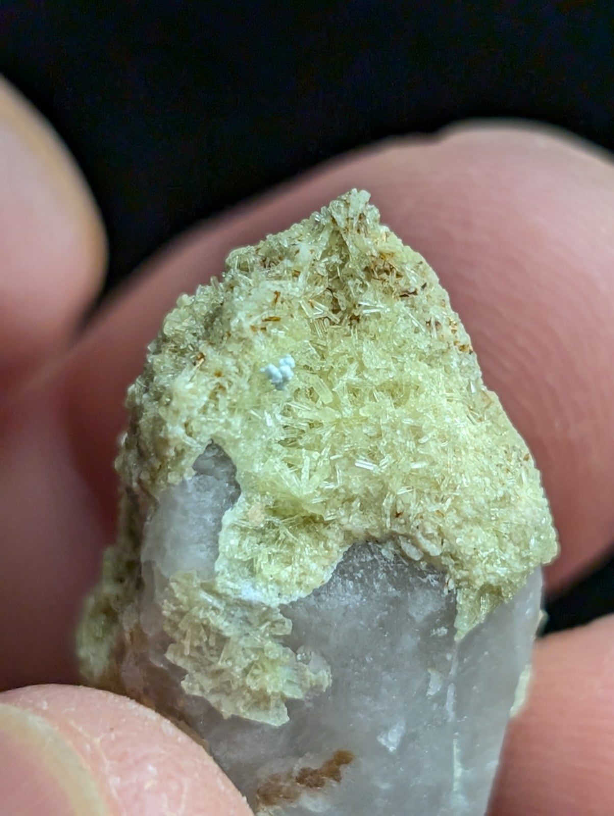 Yellow Wavellite with Variscite, Quartz - Rare Old Stock - Polk County, Arkansas