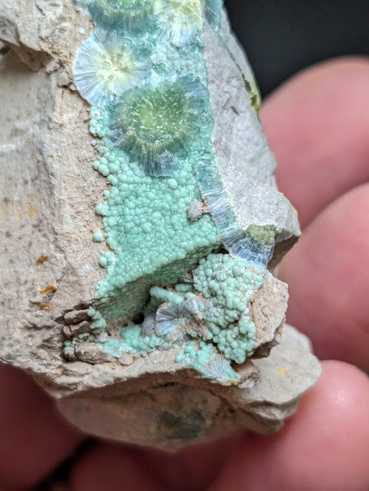 Blue Wavellite on Variscite! -Very Rare Old Stock - Garland County, Arkansas