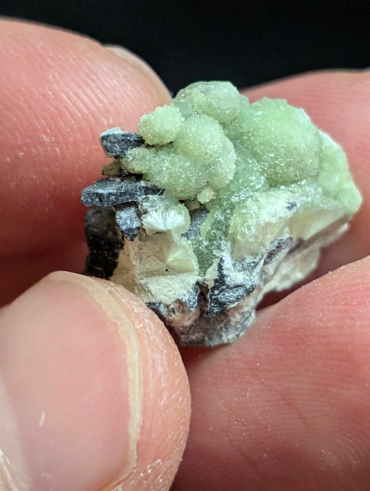 Wavellite - A+ Crystallization - Old Stock - Mauldin Mountain, Arkansas, USA