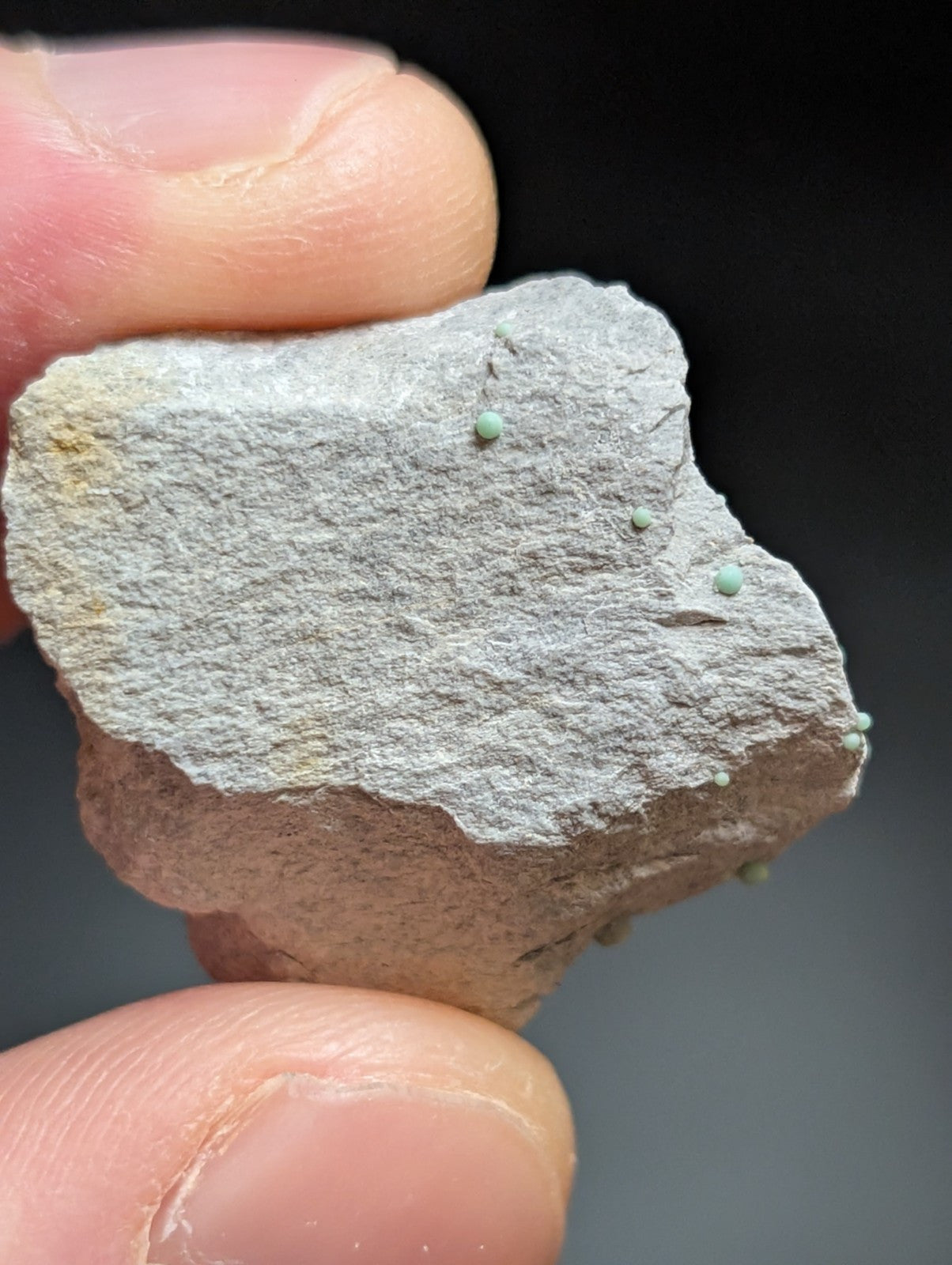 Planerite, OOAK Set of 2, Mauldin Mountain, Montgomery Co. Arkansas (Old Stock)