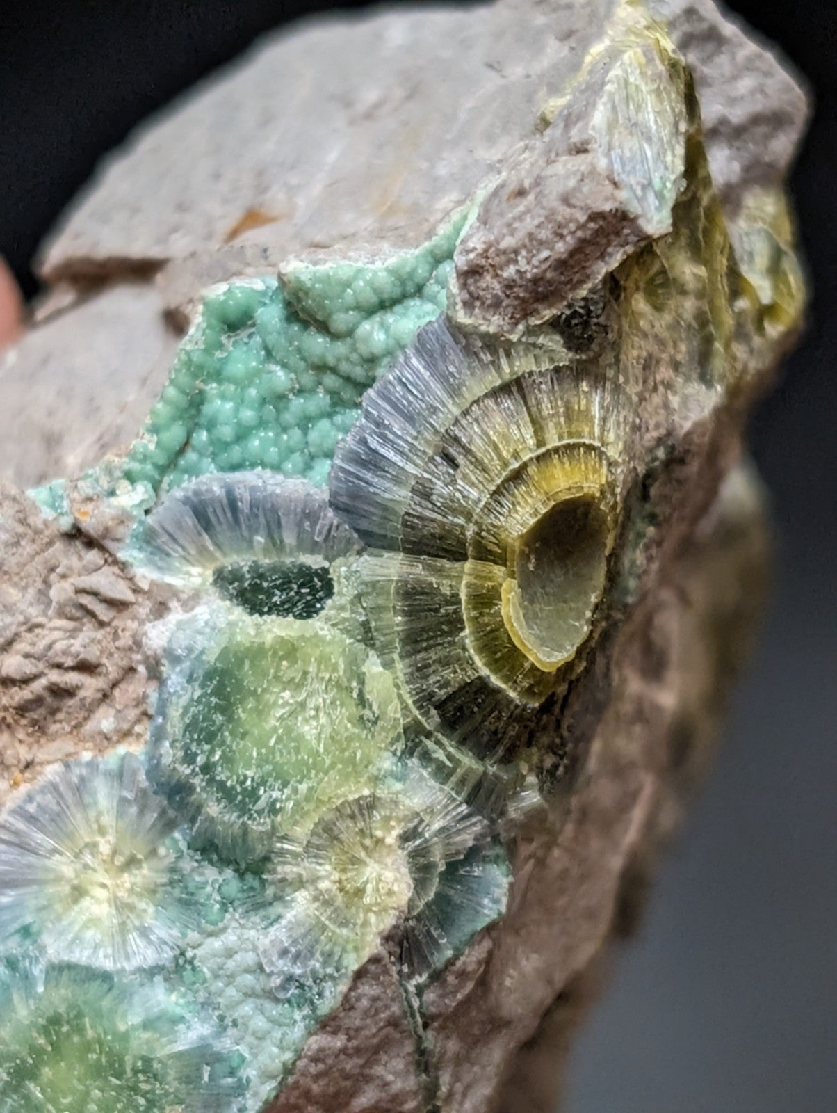 Blue Wavellite on Variscite! -Very Rare Old Stock - Garland County, Arkansas