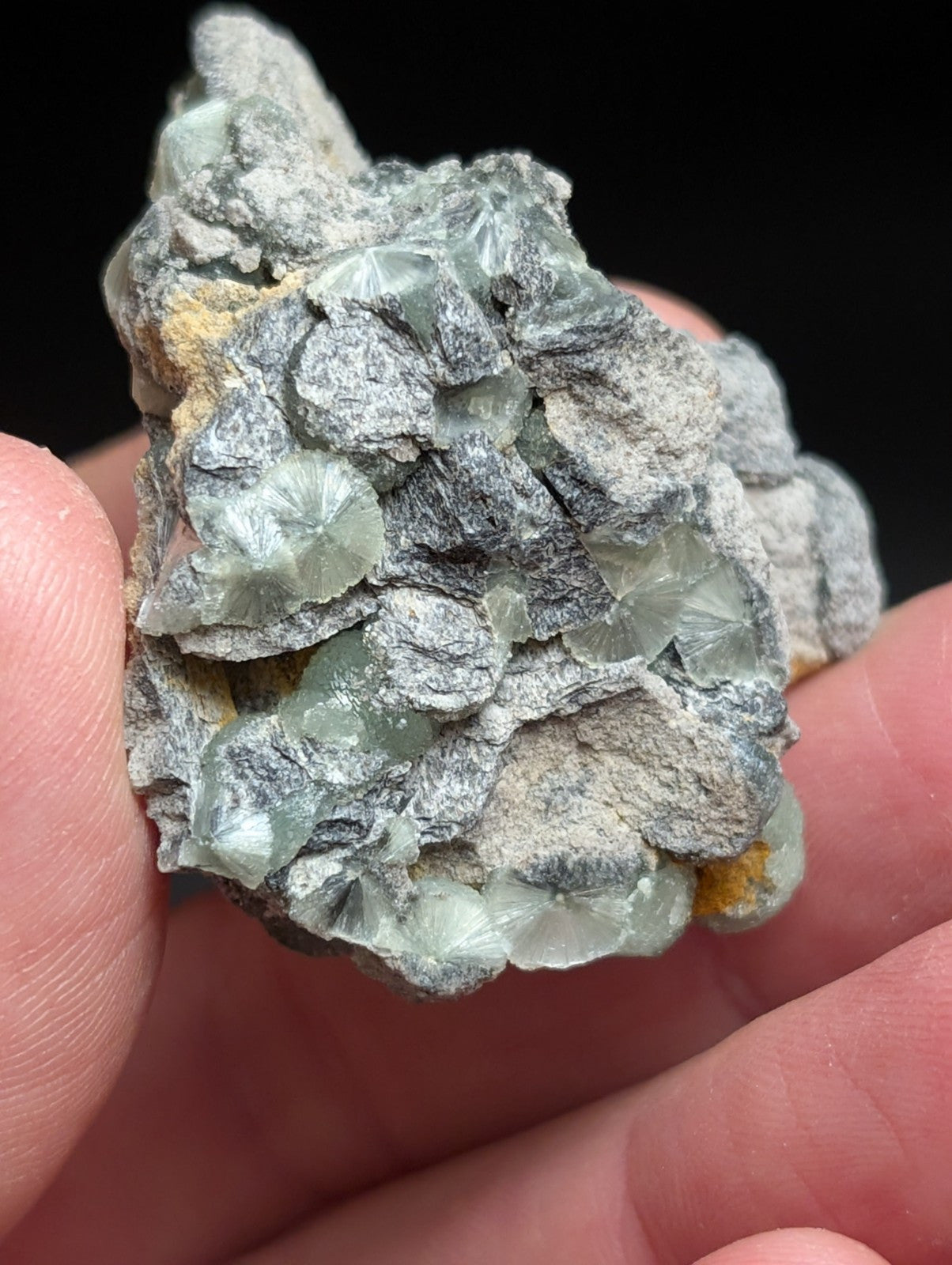 Wavellite w/ SiO2 Pseudomorphs, Mauldin Mountain, Montgomery Co. Arkansas, A++