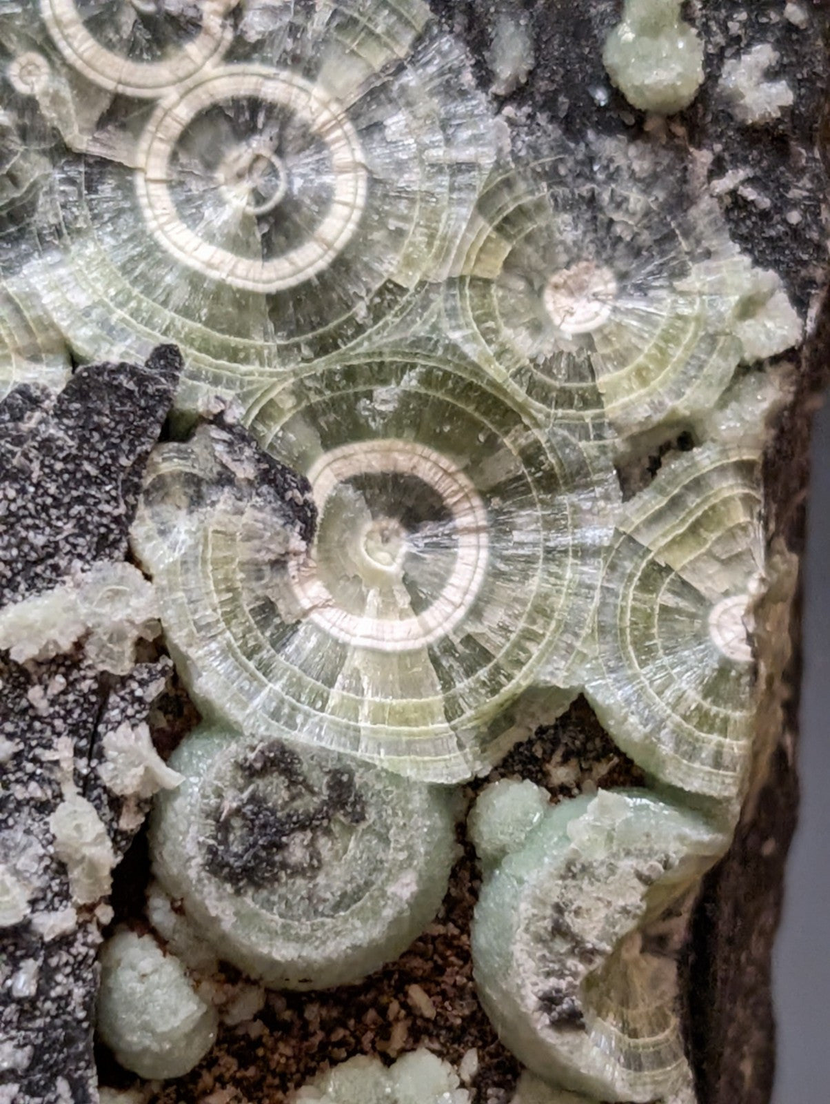 Wavellite w/ Large "Eyes", Mauldin Mountain, Montgomery County, Arkansas, USA