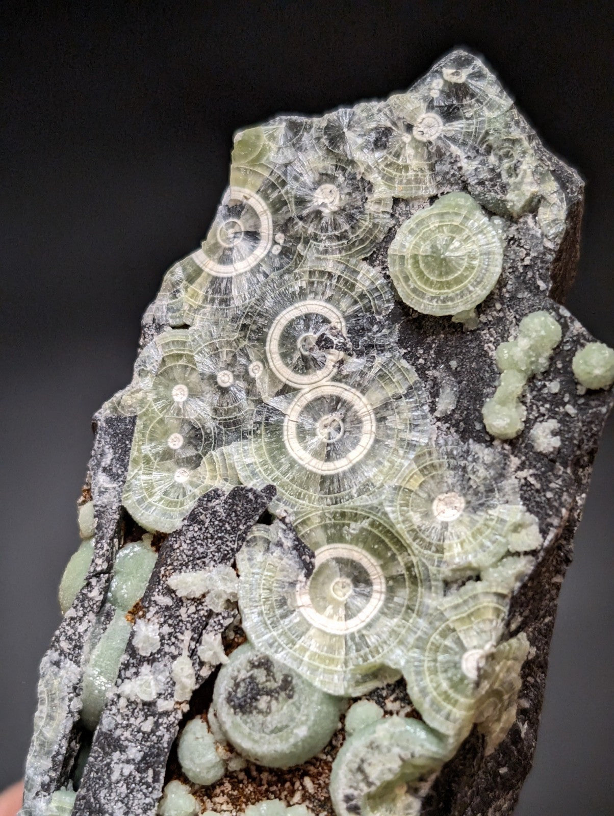 Wavellite w/ Large "Eyes", Mauldin Mountain, Montgomery County, Arkansas, USA