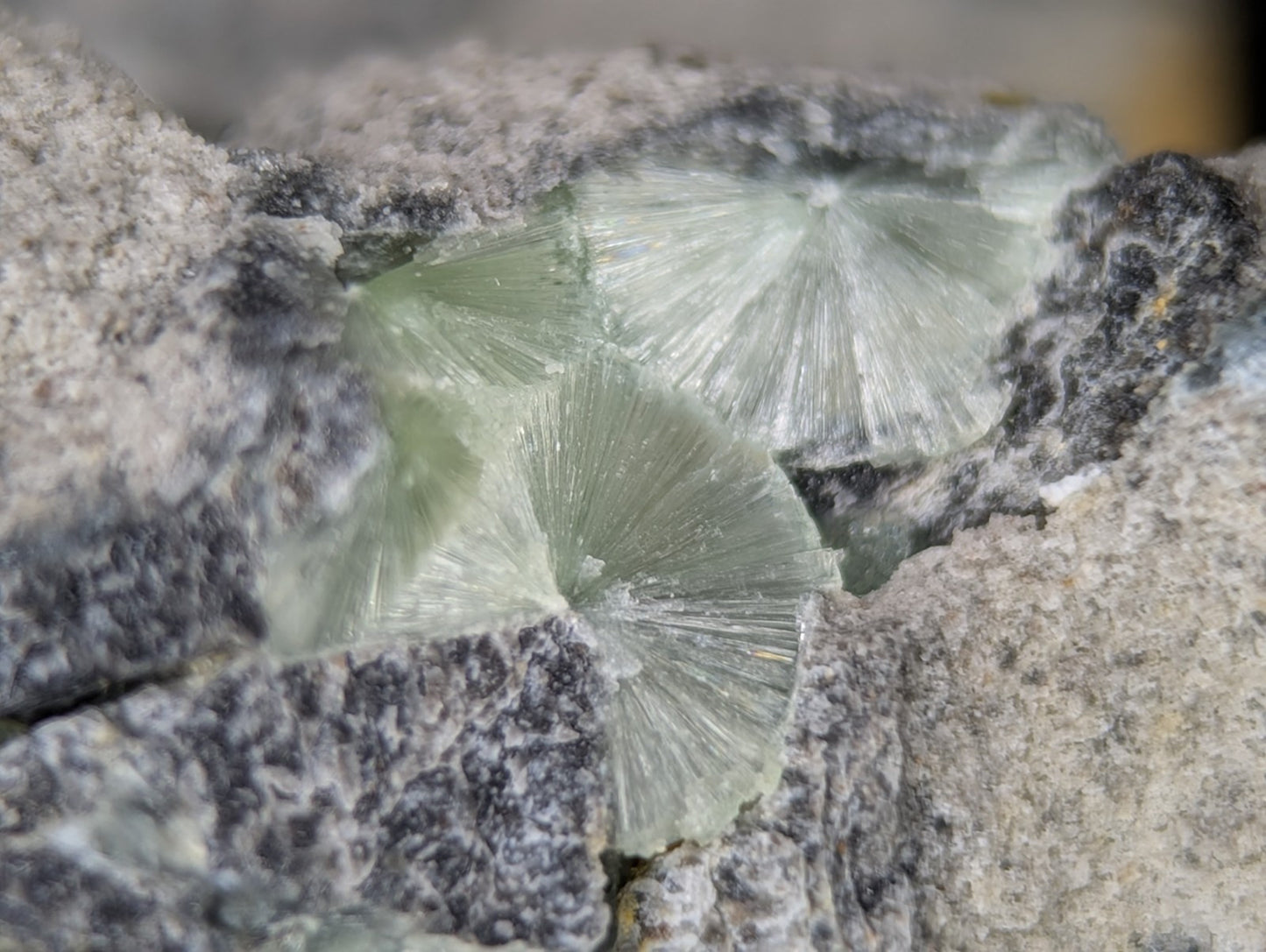 Wavellite w/ SiO2 Pseudomorphs, Mauldin Mountain, Montgomery Co. Arkansas, A++