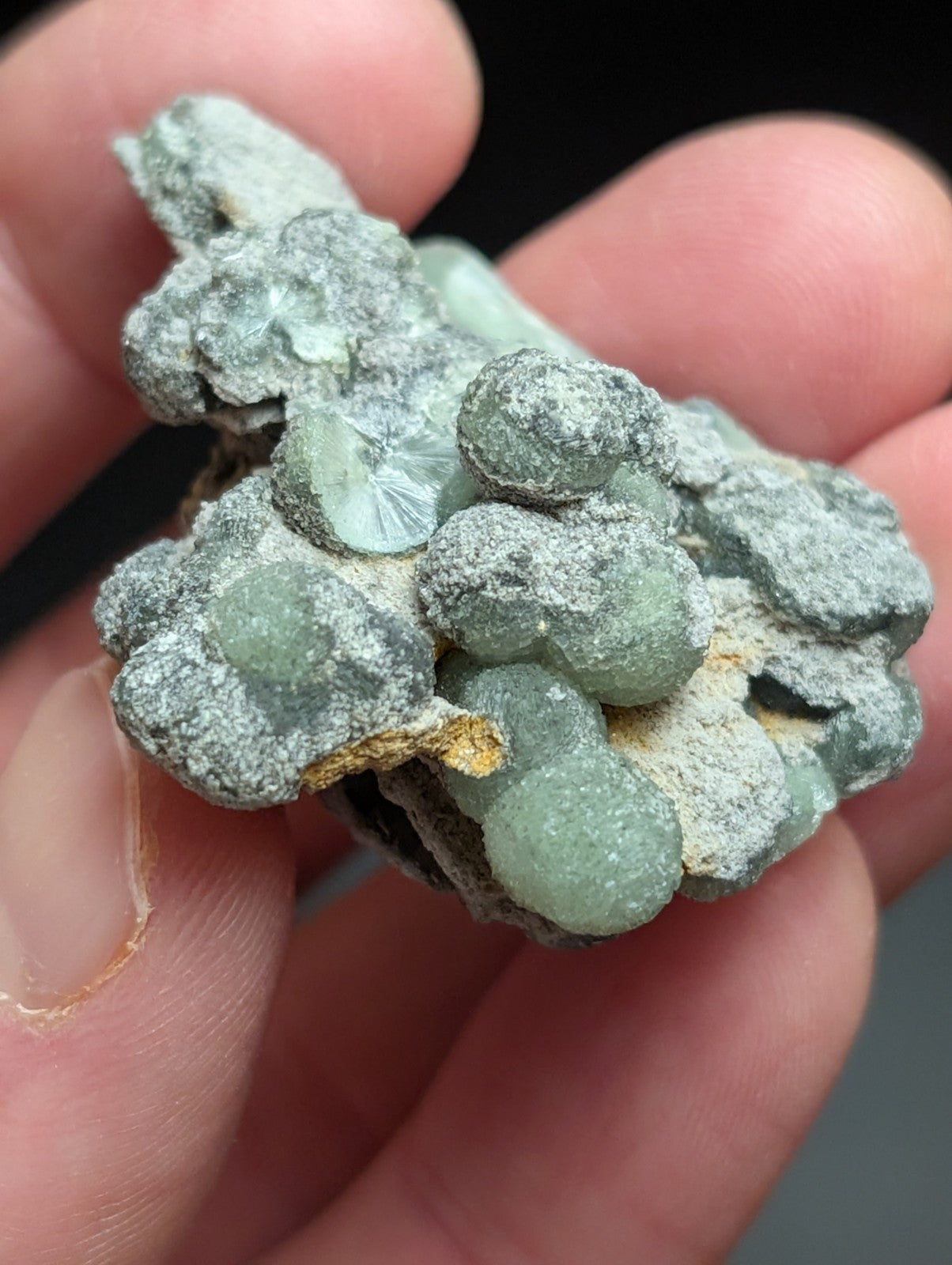 Wavellite w/ SiO2 Pseudomorphs, Mauldin Mountain, Montgomery Co. Arkansas, A++