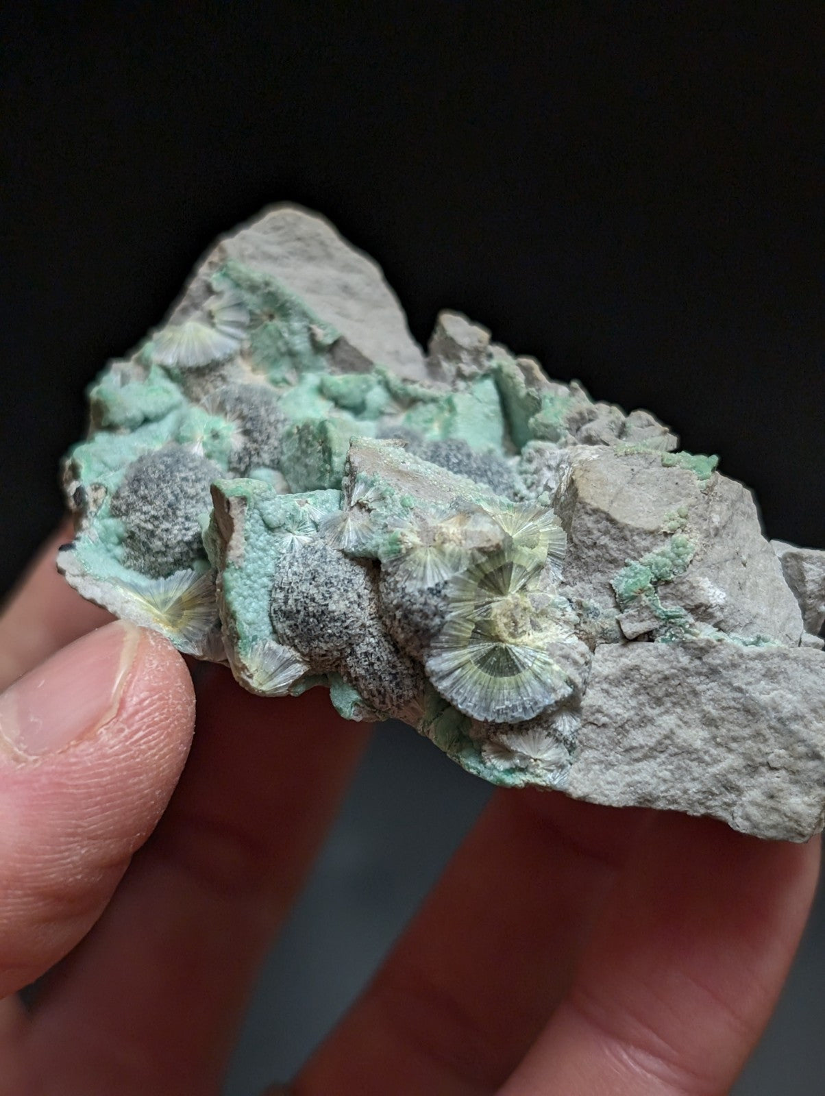 Blue Wavellite on Variscite! -Very Rare Old Stock - Garland County, Arkansas