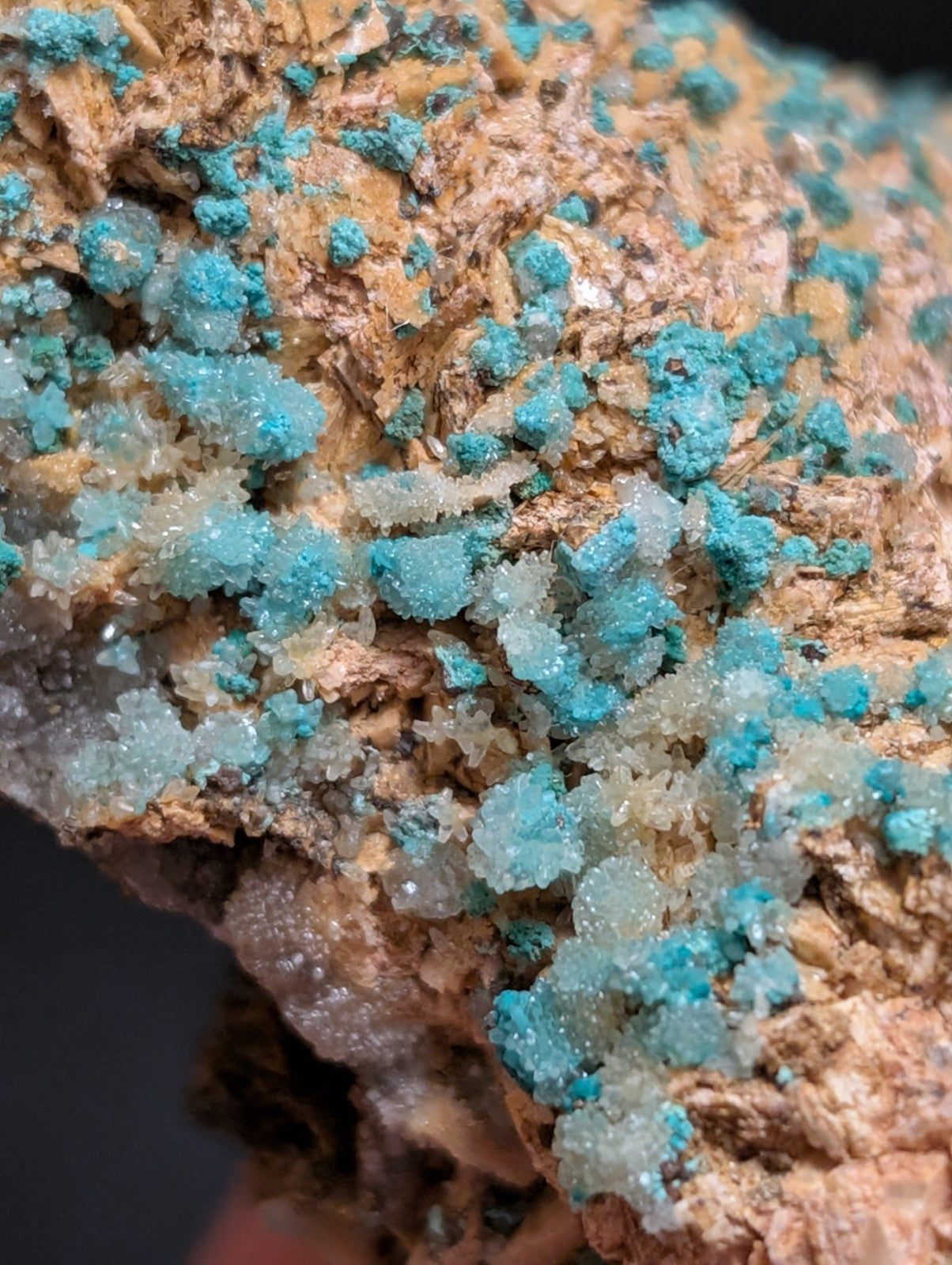 Very Rare, Aurichalcite and Selenite, Red Cloud Mine, Rush, Marion Co.  Arkansas