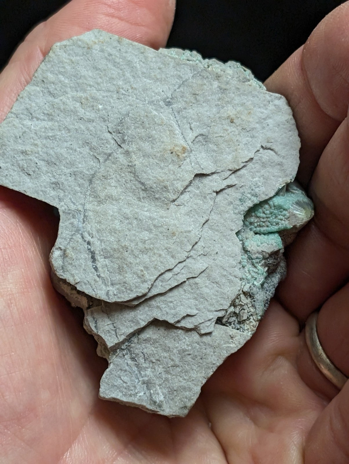 Blue Wavellite on Variscite! -Very Rare Old Stock - Garland County, Arkansas