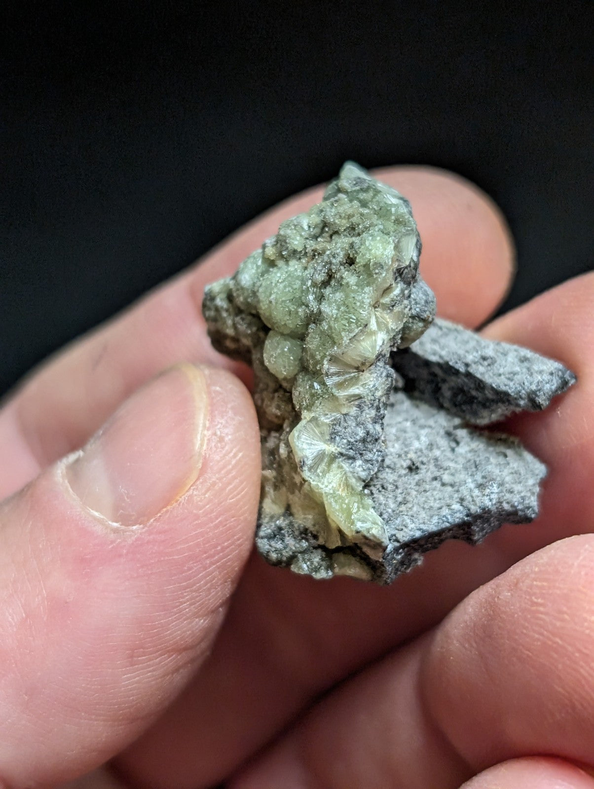 Wavellite w/ SiO2 Pseudomorphs, Mauldin Mountain, Montgomery Co. Arkansas, A++