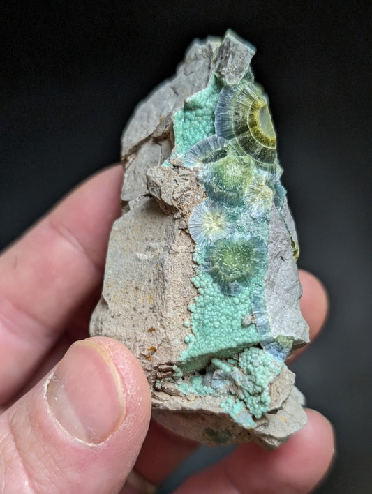 Blue Wavellite on Variscite! -Very Rare Old Stock - Garland County, Arkansas