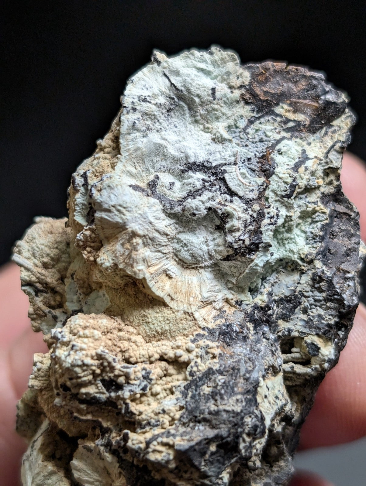 Planerite, York Mine/Coon Creek, Polk County, Arkansas, Old Stock, Rare/Unique