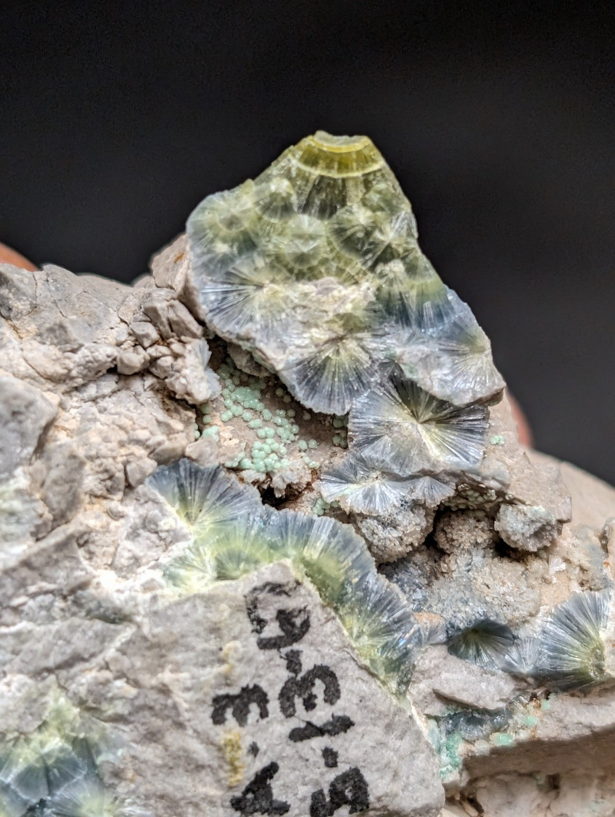 Blue Wavellite on Variscite! -Very Rare Old Stock - Garland County, Arkansas