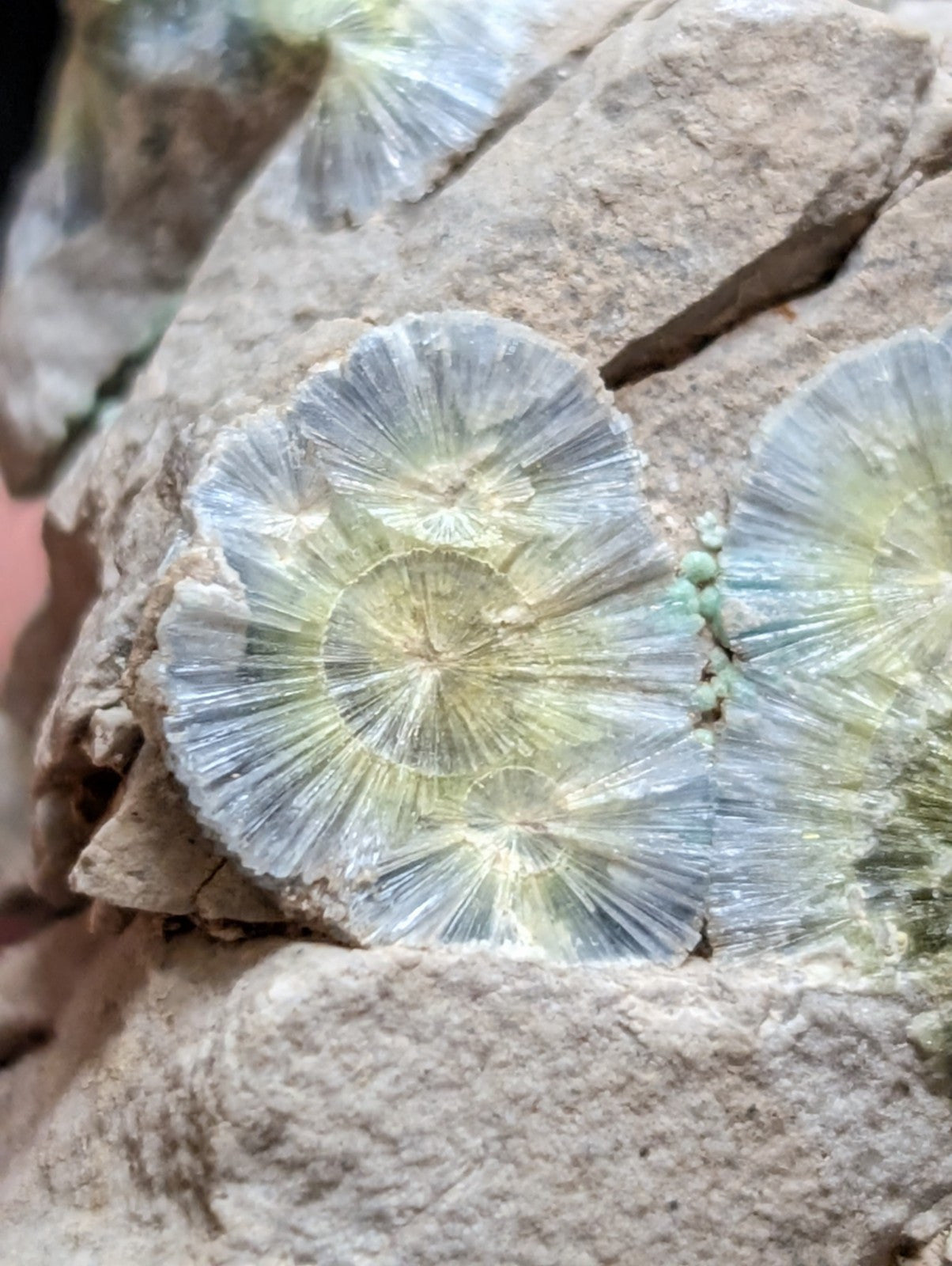 Blue Wavellite on Variscite! -Very Rare Old Stock - Garland County, Arkansas