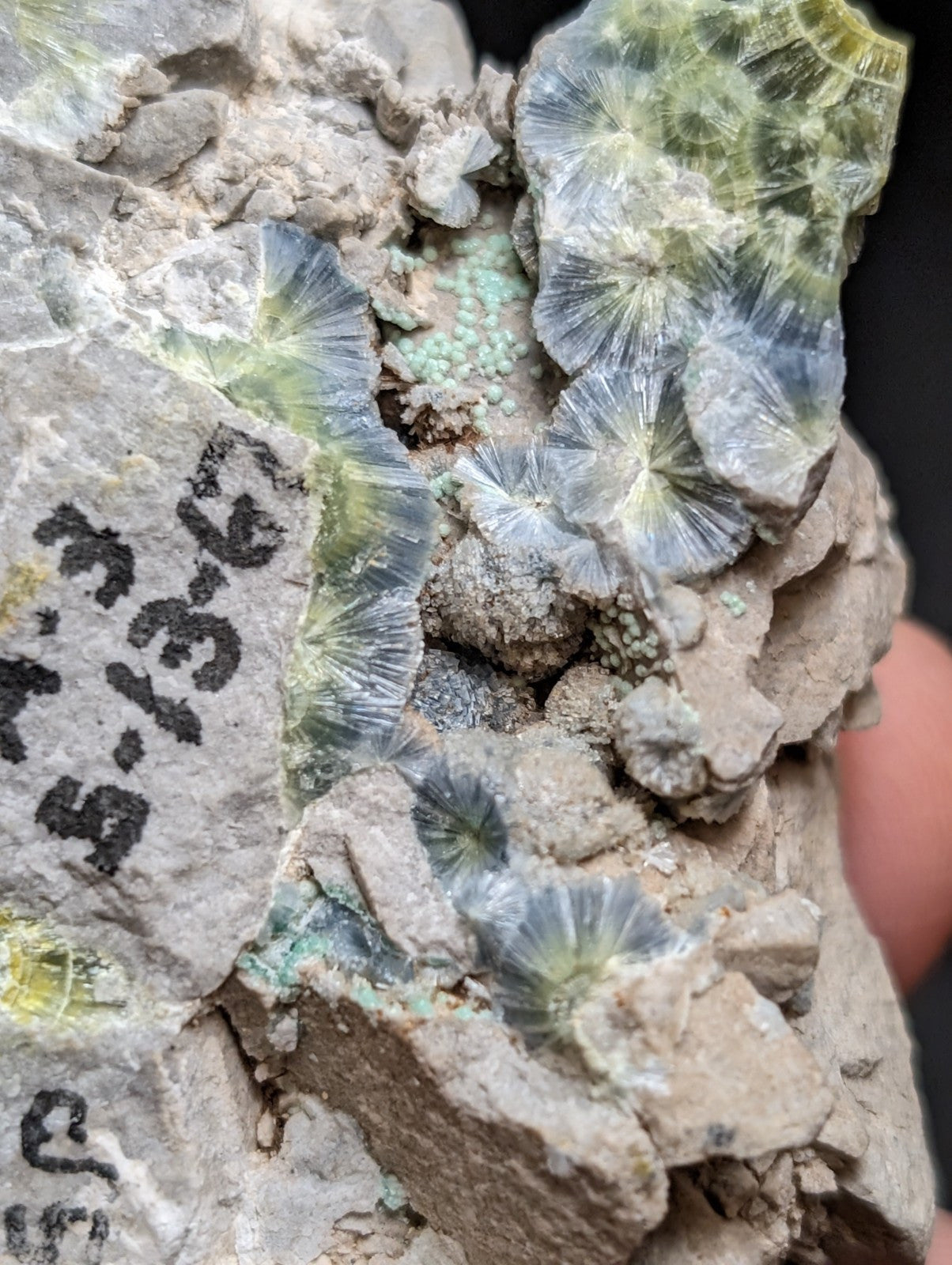 Blue Wavellite on Variscite! -Very Rare Old Stock - Garland County, Arkansas