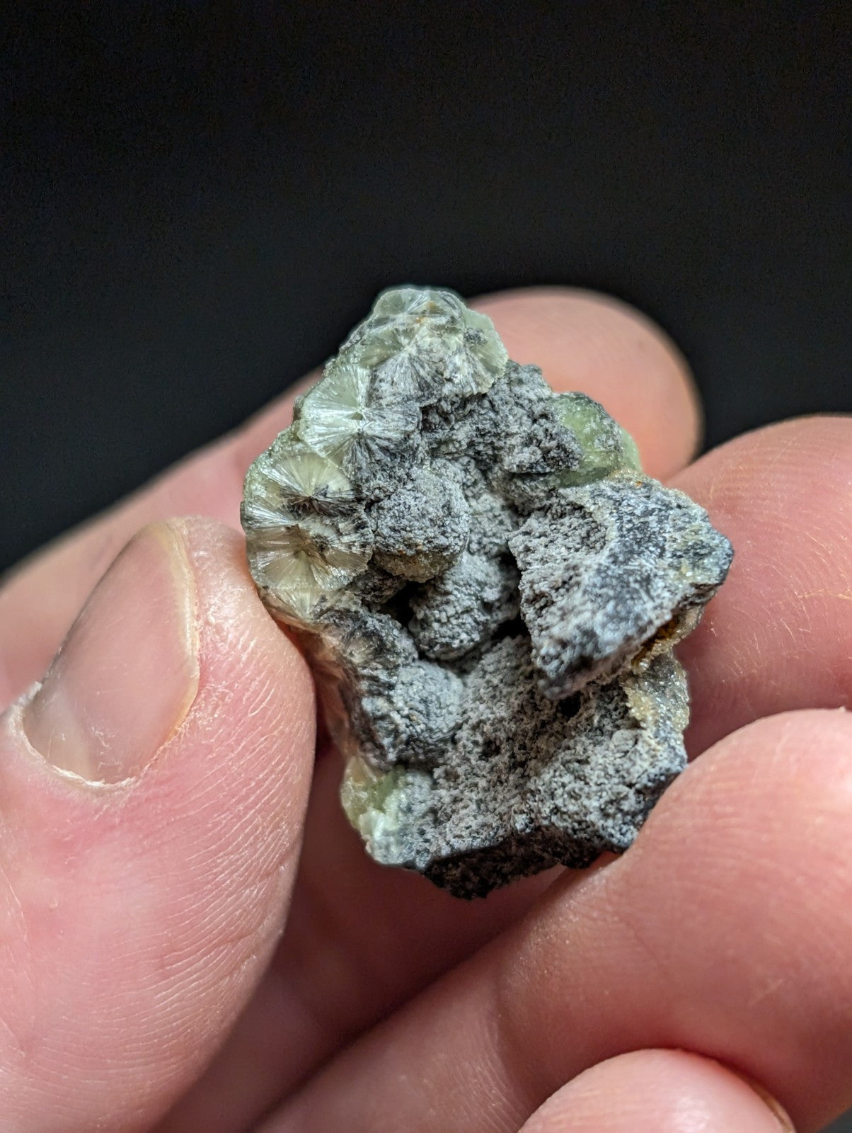 Wavellite w/ SiO2 Pseudomorphs, Mauldin Mountain, Montgomery Co. Arkansas, A++