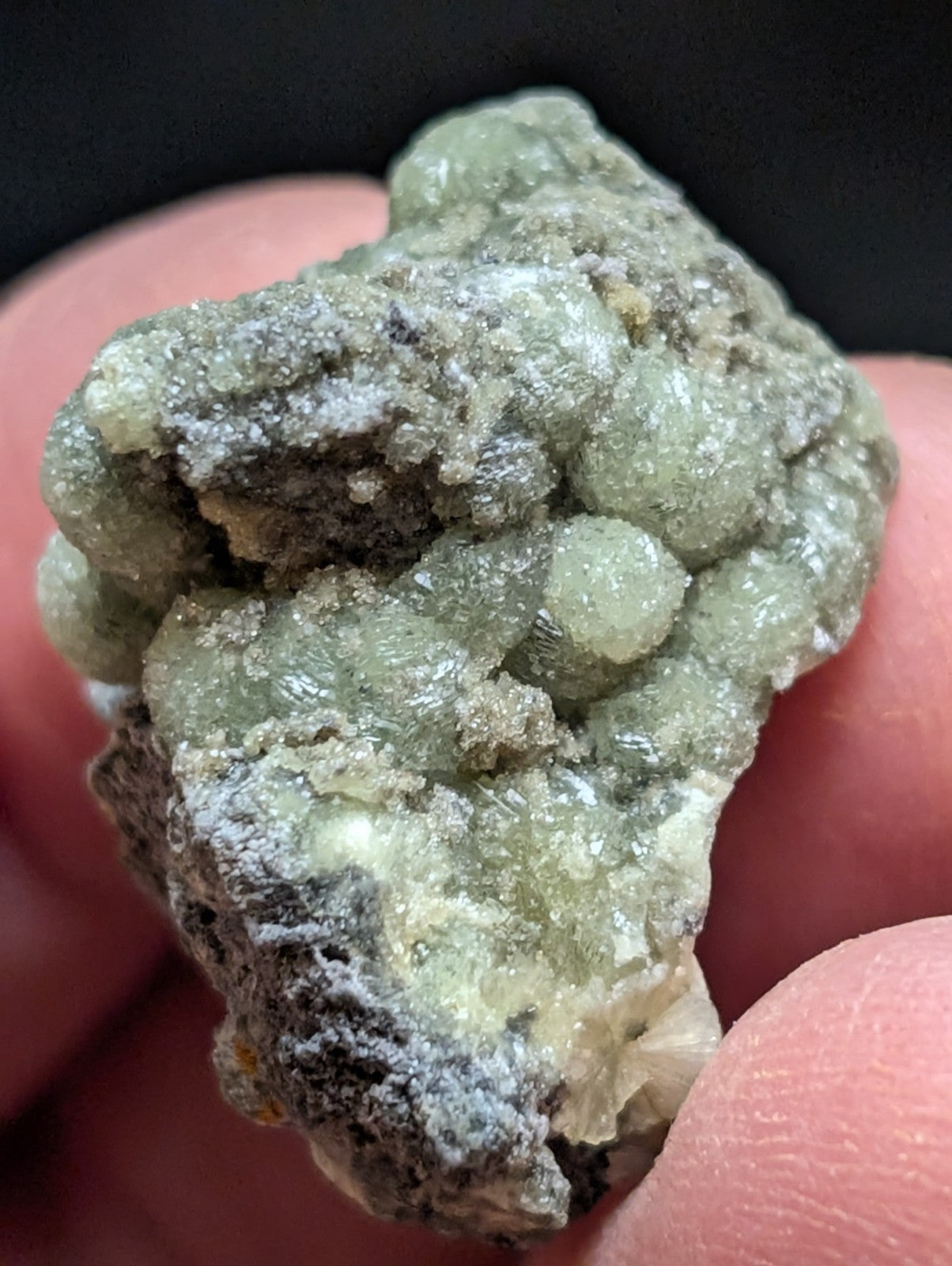 Wavellite w/ SiO2 Pseudomorphs, Mauldin Mountain, Montgomery Co. Arkansas, A++