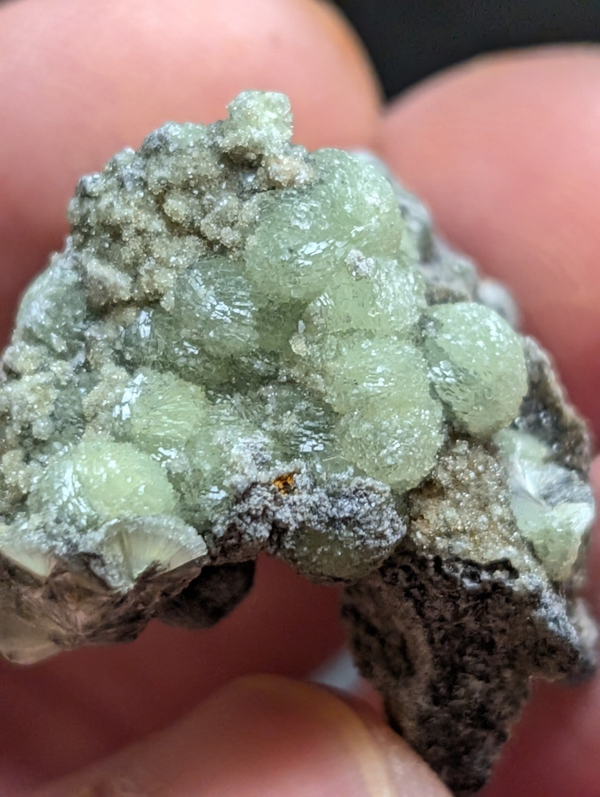 Wavellite w/ SiO2 Pseudomorphs, Mauldin Mountain, Montgomery Co. Arkansas, A++