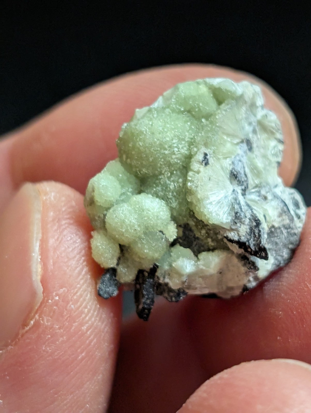 Wavellite - A+ Crystallization - Old Stock - Mauldin Mountain, Arkansas, USA