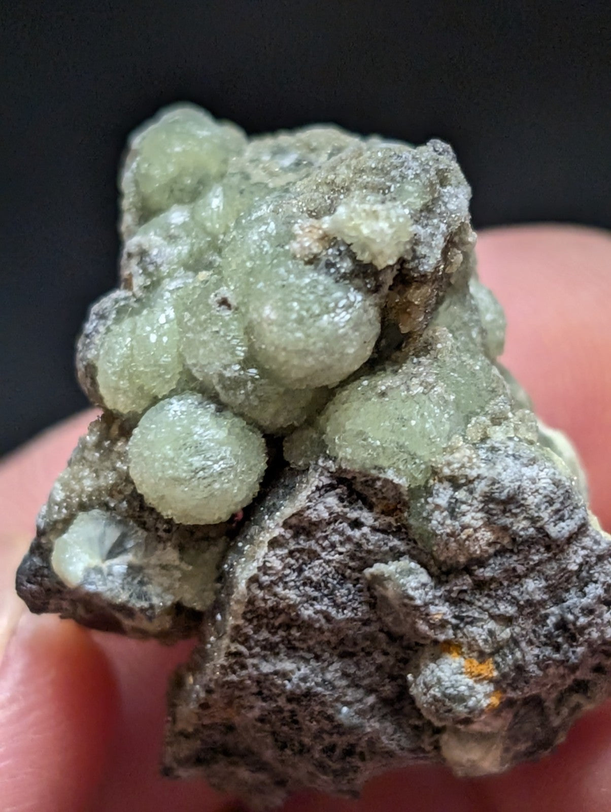 Wavellite w/ SiO2 Pseudomorphs, Mauldin Mountain, Montgomery Co. Arkansas, A++