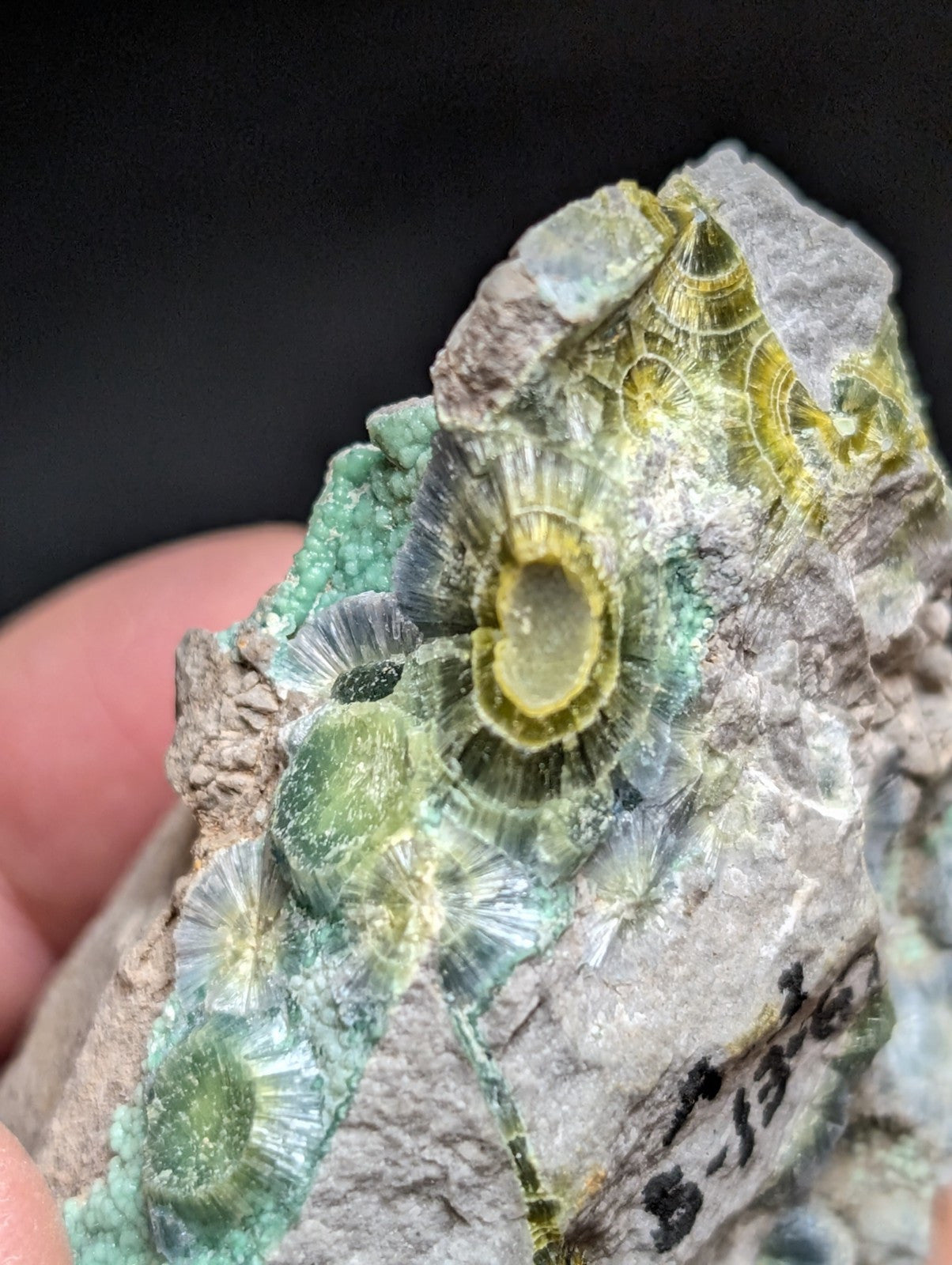 Blue Wavellite on Variscite! -Very Rare Old Stock - Garland County, Arkansas