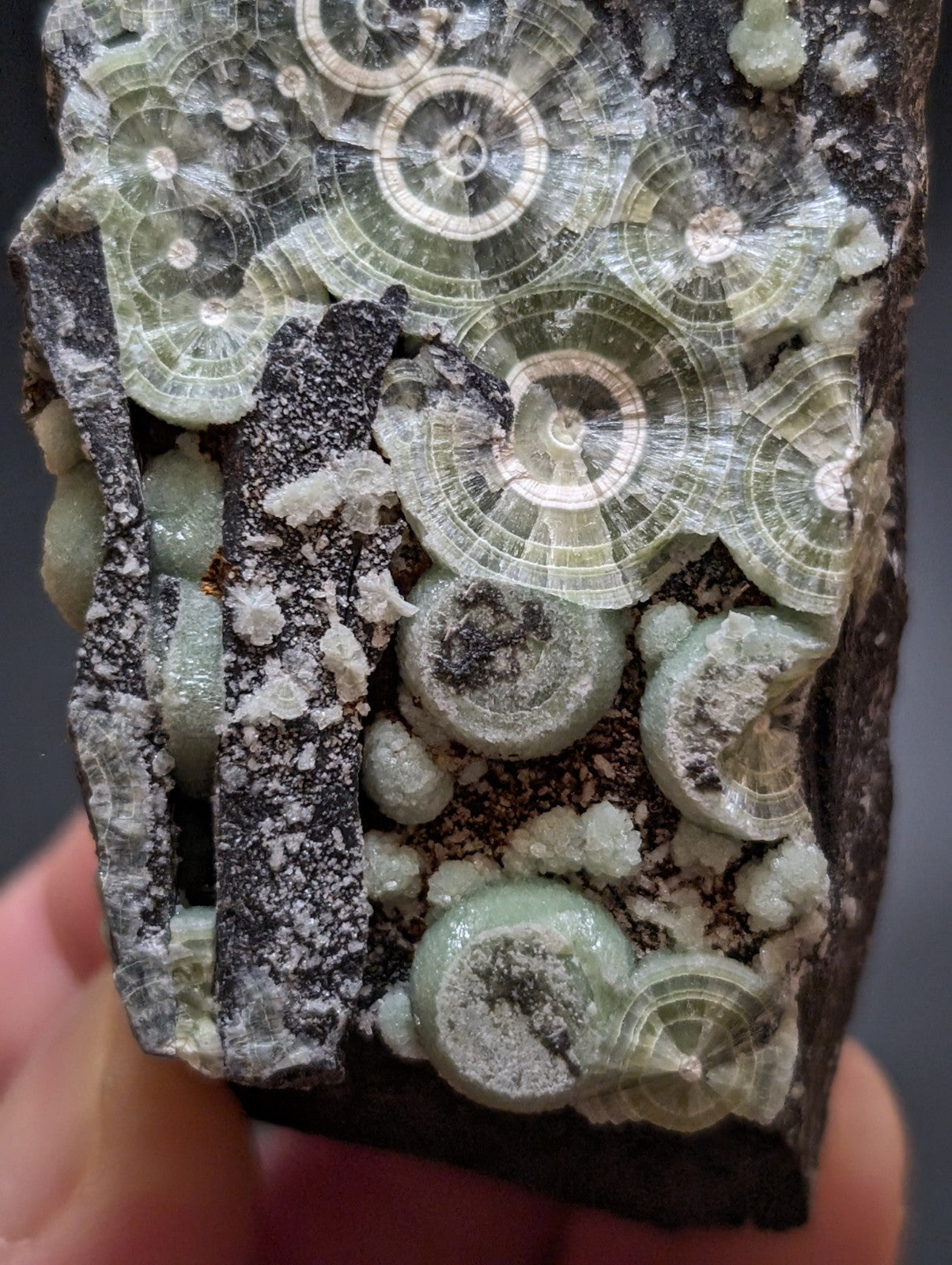 Wavellite w/ Large "Eyes", Mauldin Mountain, Montgomery County, Arkansas, USA