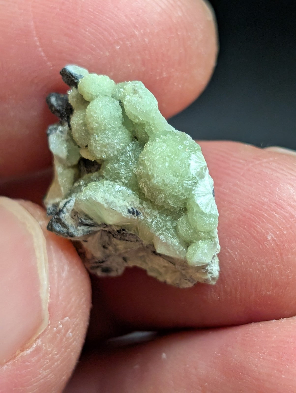 Wavellite - A+ Crystallization - Old Stock - Mauldin Mountain, Arkansas, USA