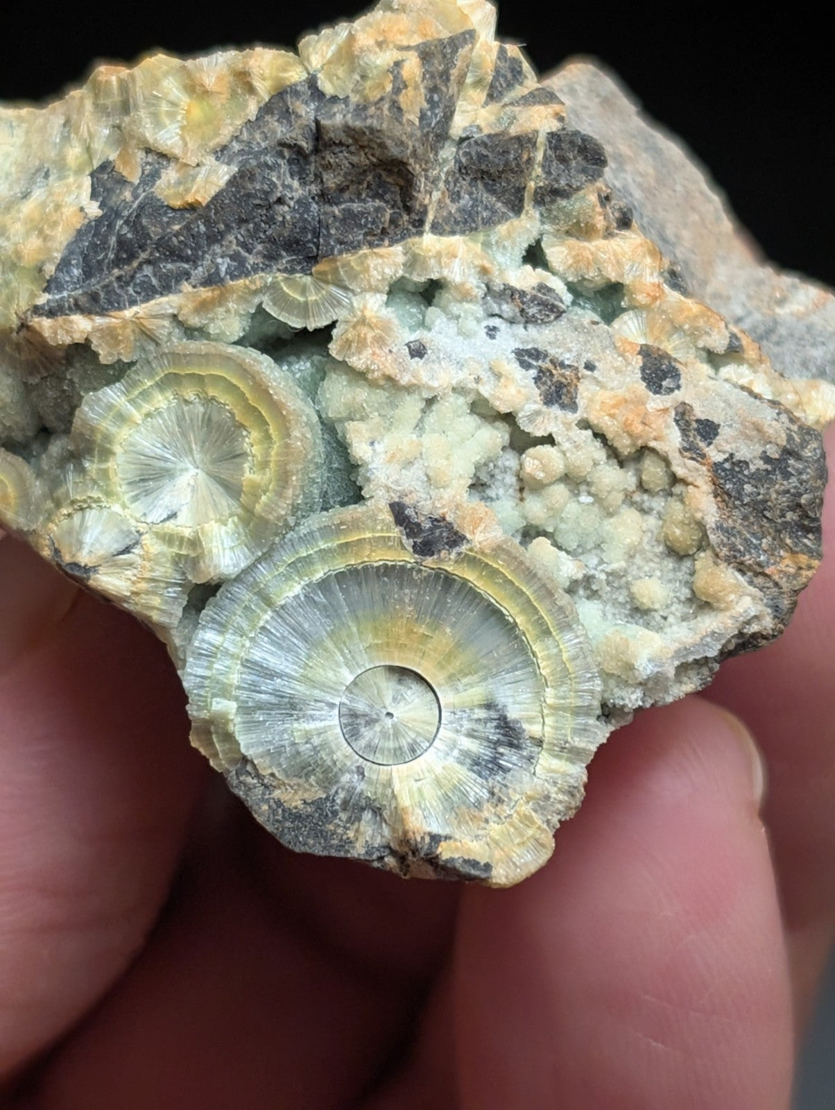 Wavellite , Mauldin Mountain, Montgomery Co. Arkansas, USA (Top Aesthetics)