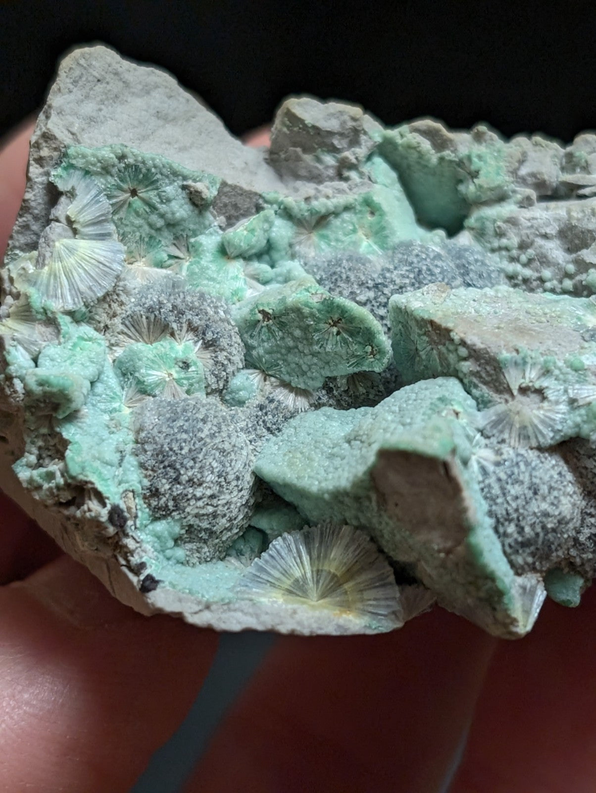 Blue Wavellite on Variscite! -Very Rare Old Stock - Garland County, Arkansas