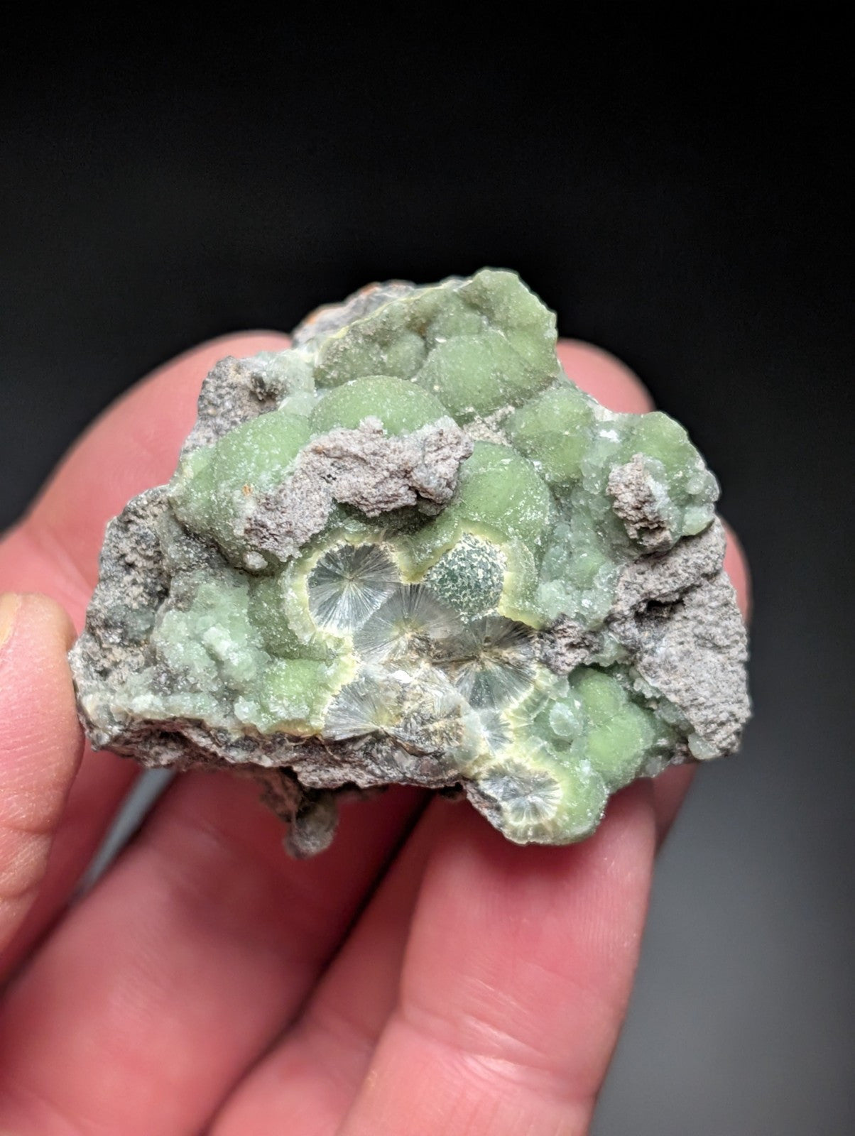 Wavellite w/ SiO2 Pseudomorphs , Mauldin Mountain, Montgomery Co. Arkansas, USA