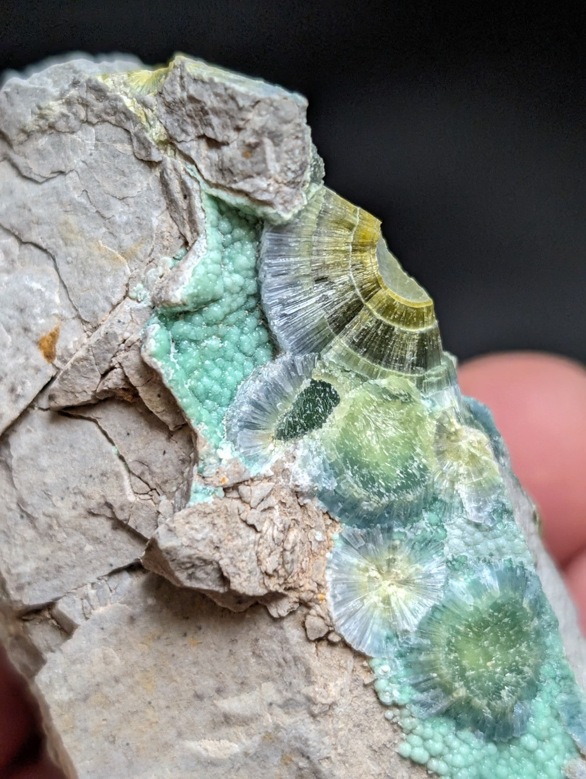 Blue Wavellite on Variscite! -Very Rare Old Stock - Garland County, Arkansas