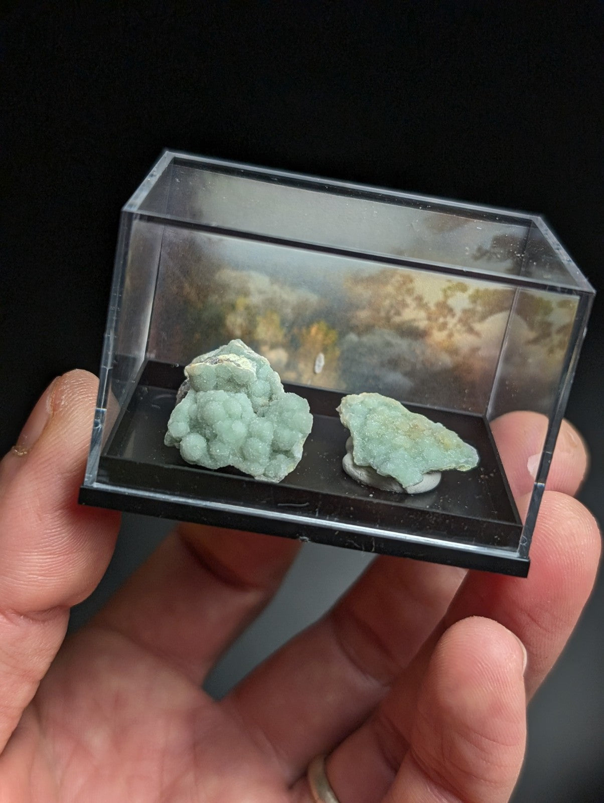 Wavellite , Set of 2, w/ photo case - Old Stock - Montgomery County, Arkansas