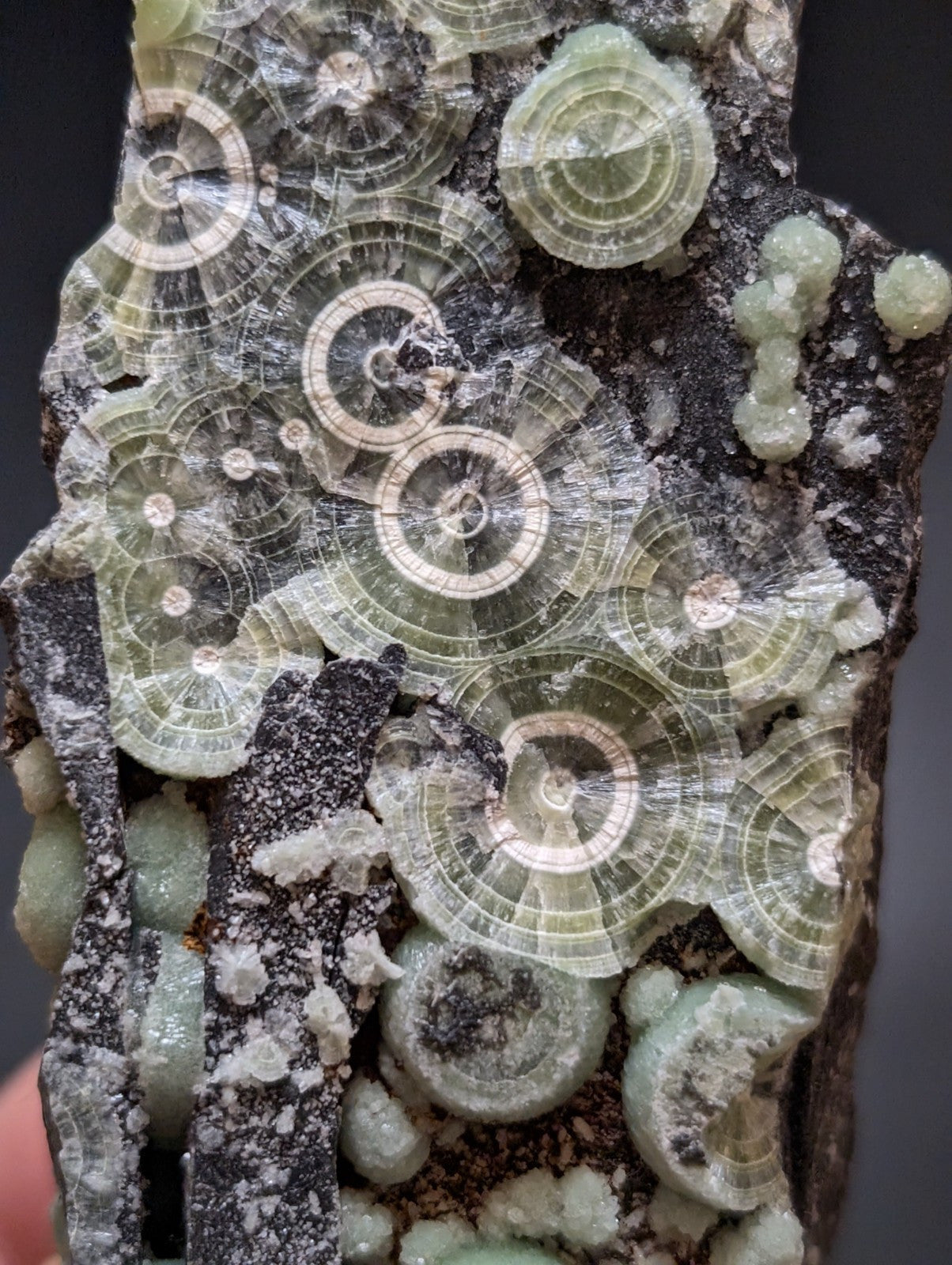 Wavellite w/ Large "Eyes", Mauldin Mountain, Montgomery County, Arkansas, USA