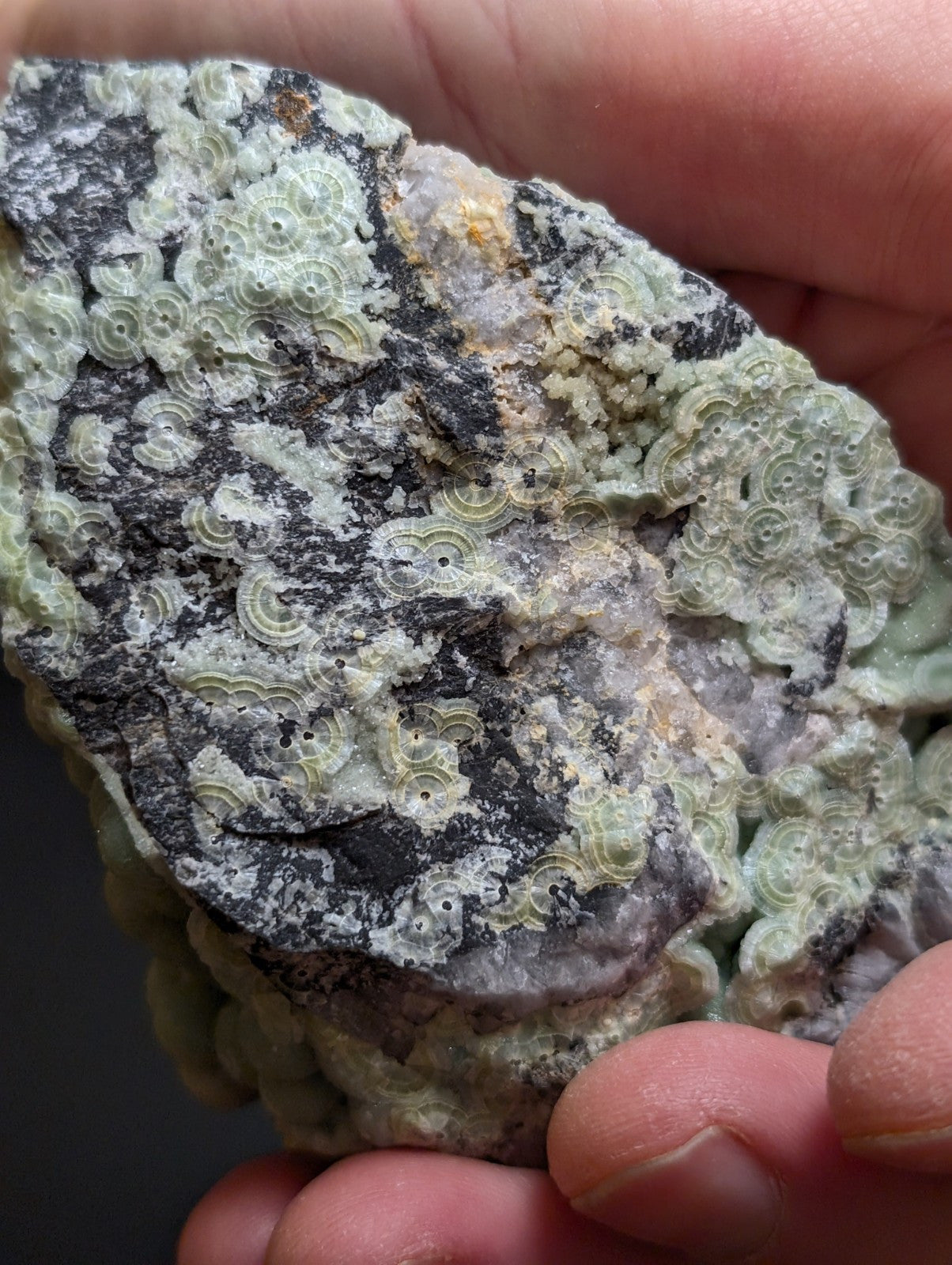 Phenomenal Wavellite -Old Stock - Mauldin Mountain, Arkansas, A+++ Display Piece