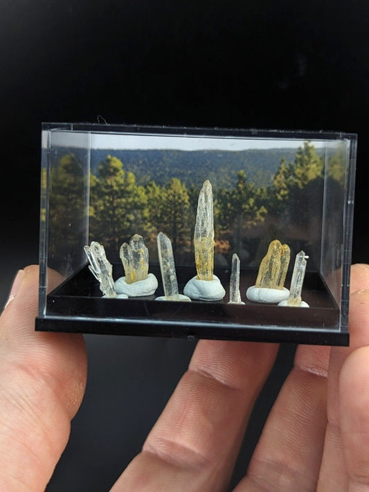 Rare Solution Quartz Crystals - Unique Set of 7 w/case- Jeffrey Quarry, Arkansas